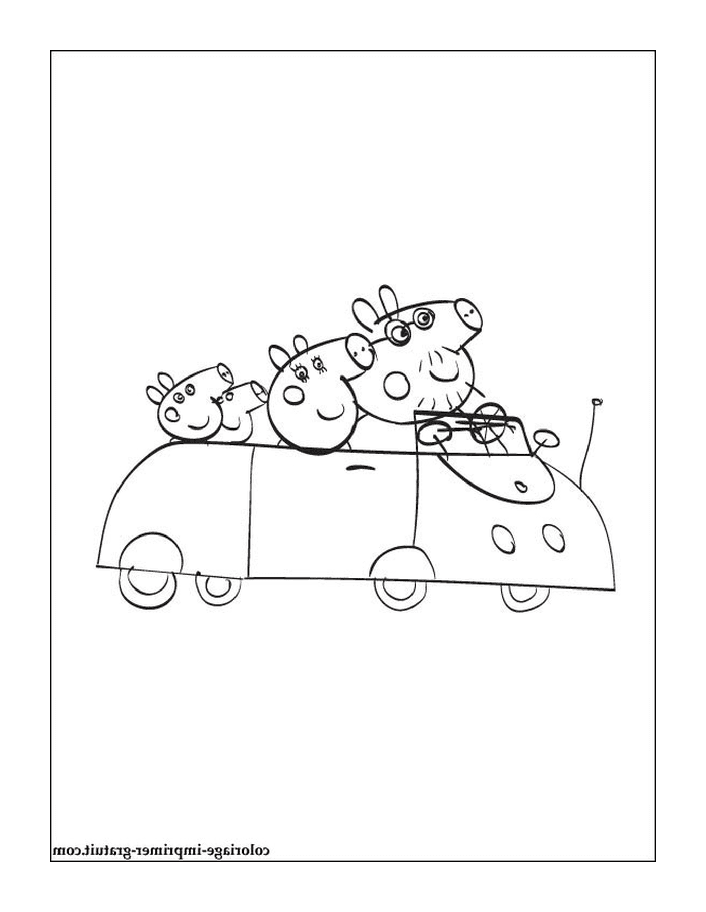   Trois vaches dans une voiture 