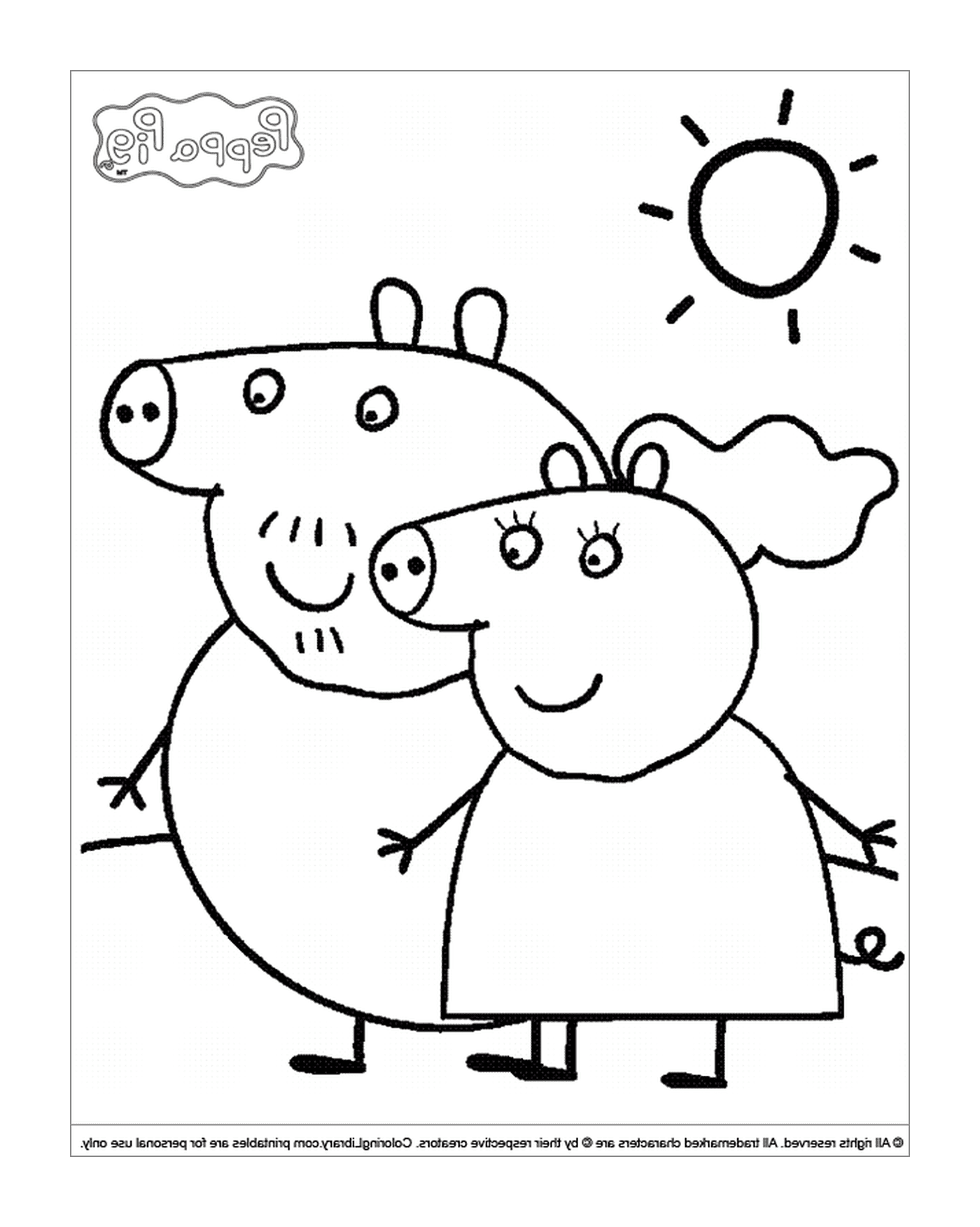   Un couple de cochons debout dans un champ 