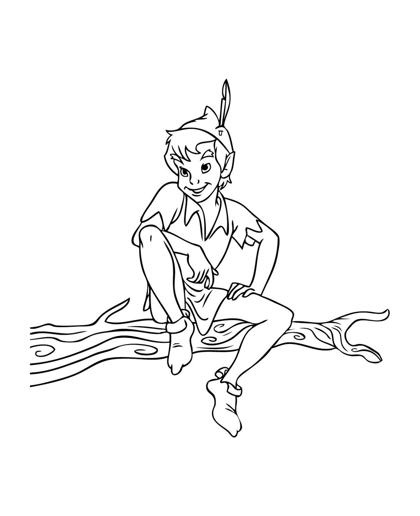   Peter Pan assis sur arbre 