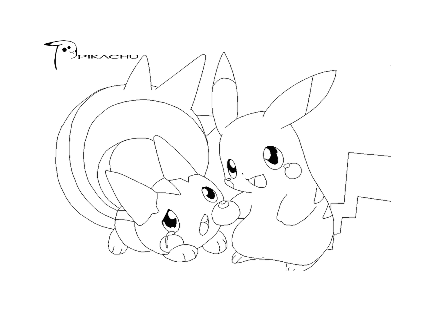   Deux Pikachus se tiennent ensemble 
