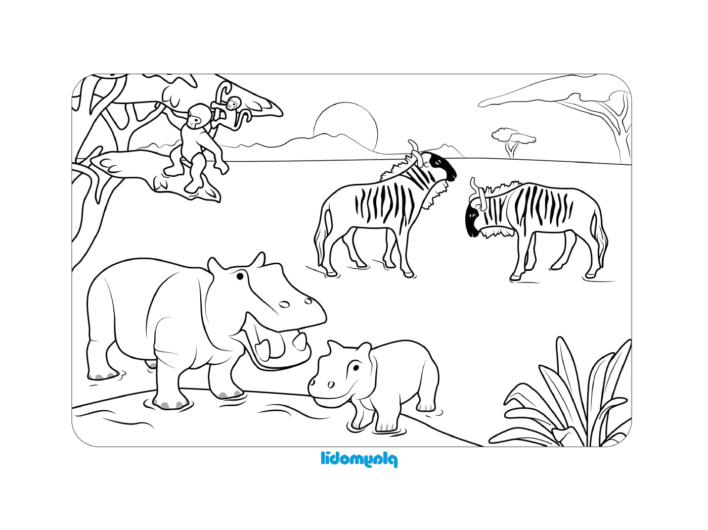  Zèbre et hippopotame dans un champ 