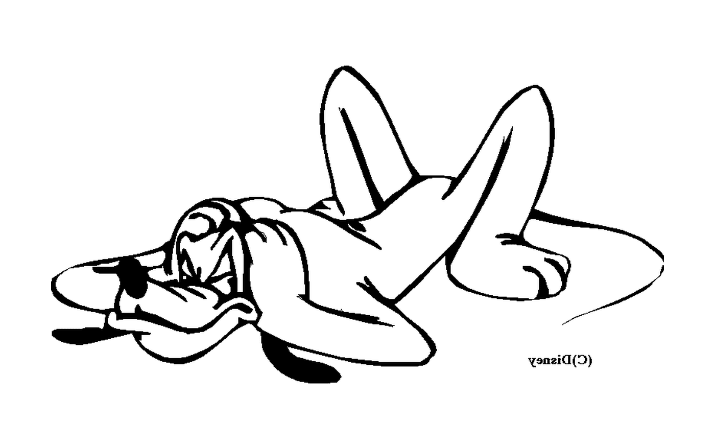   Femme allongée sur le sol 