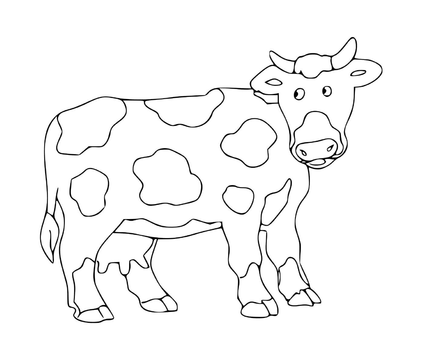   Une vache paisible et charmante 