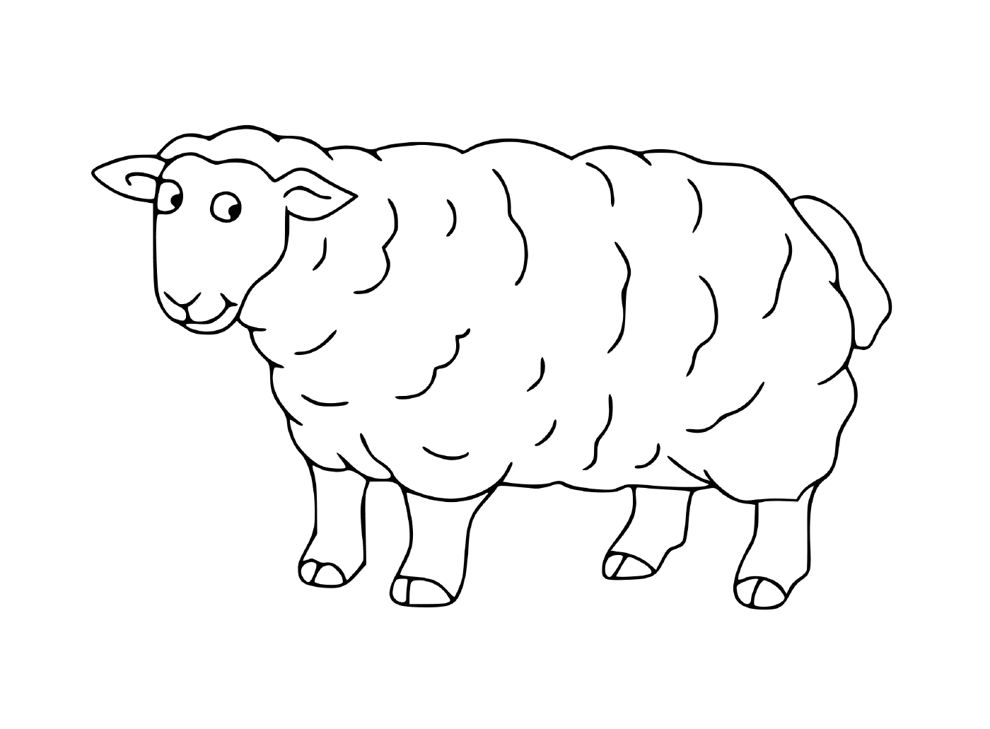   Mouton blanc dans champ 