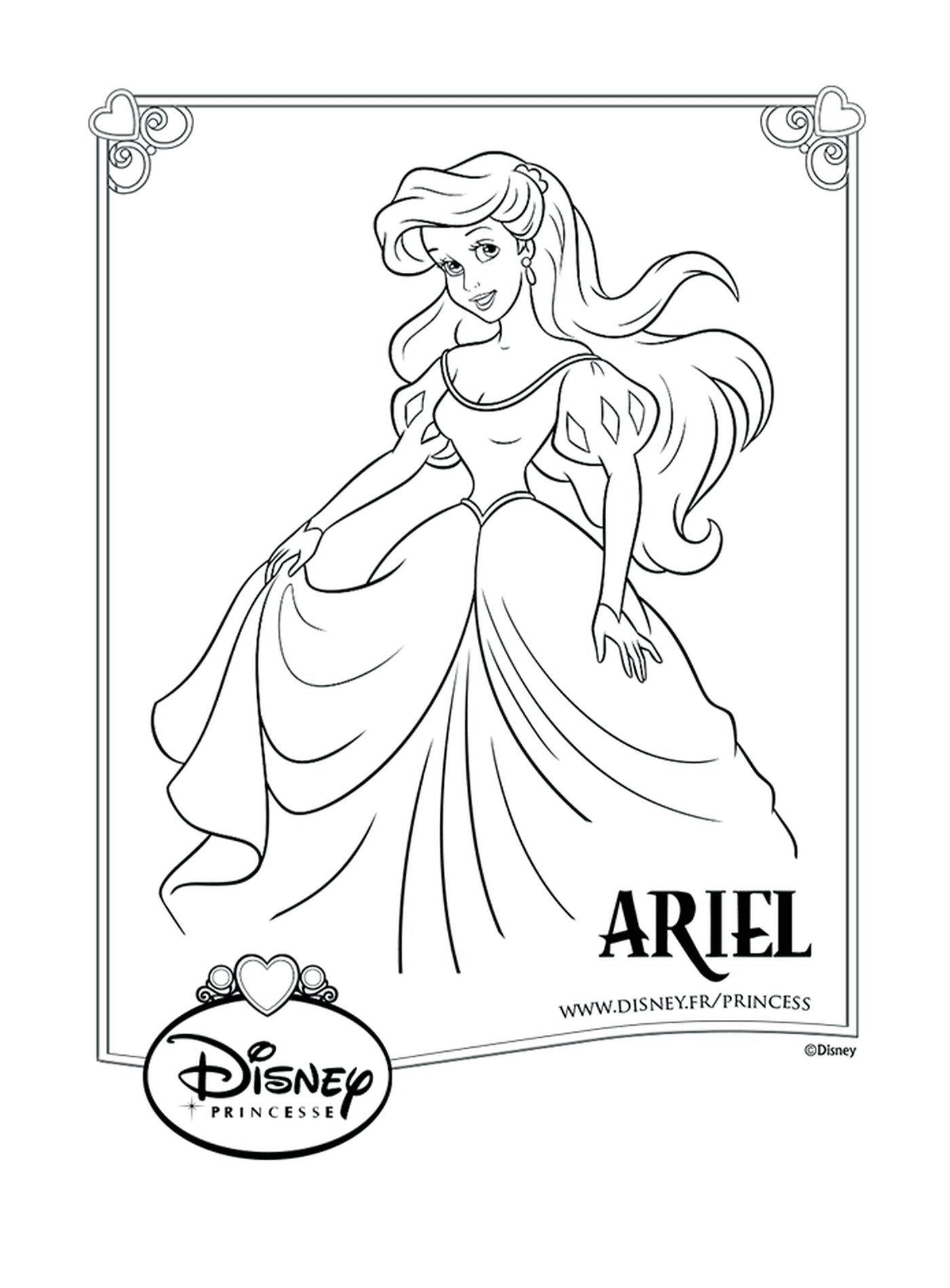   Ariel, une jeune fille aux longs cheveux 