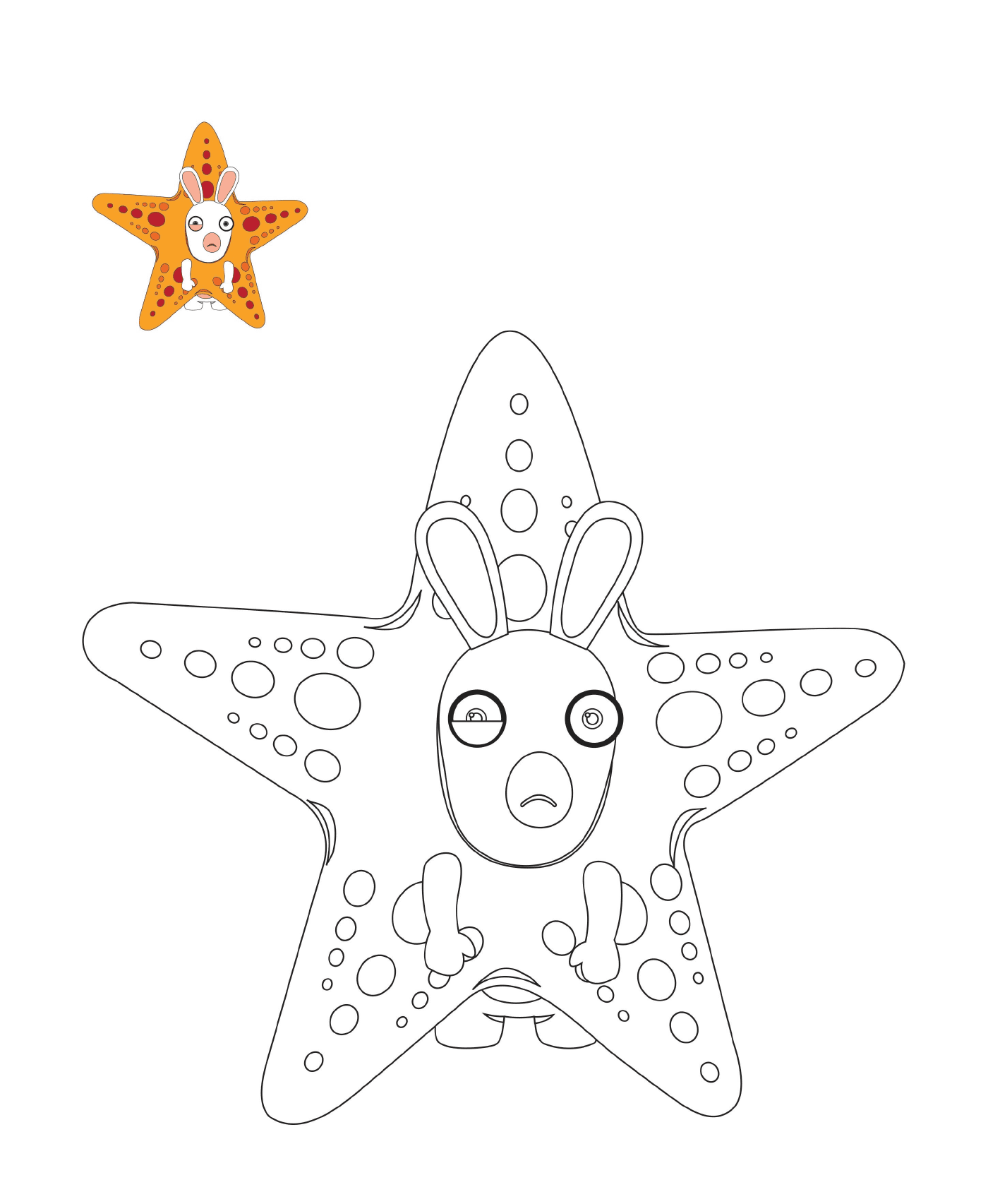   Lapin Cretin étoile de mer 