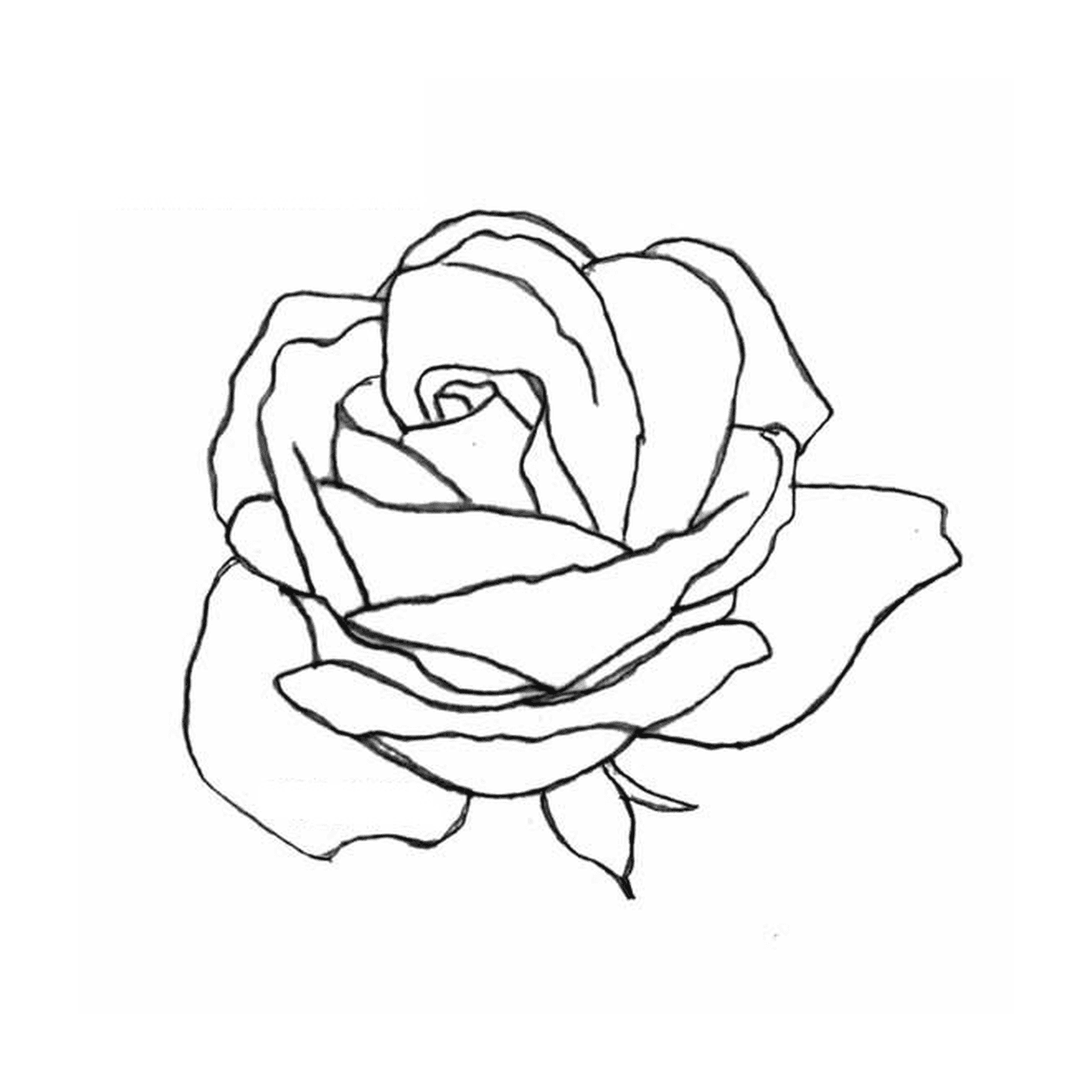   Rose avec cœur délicat 
