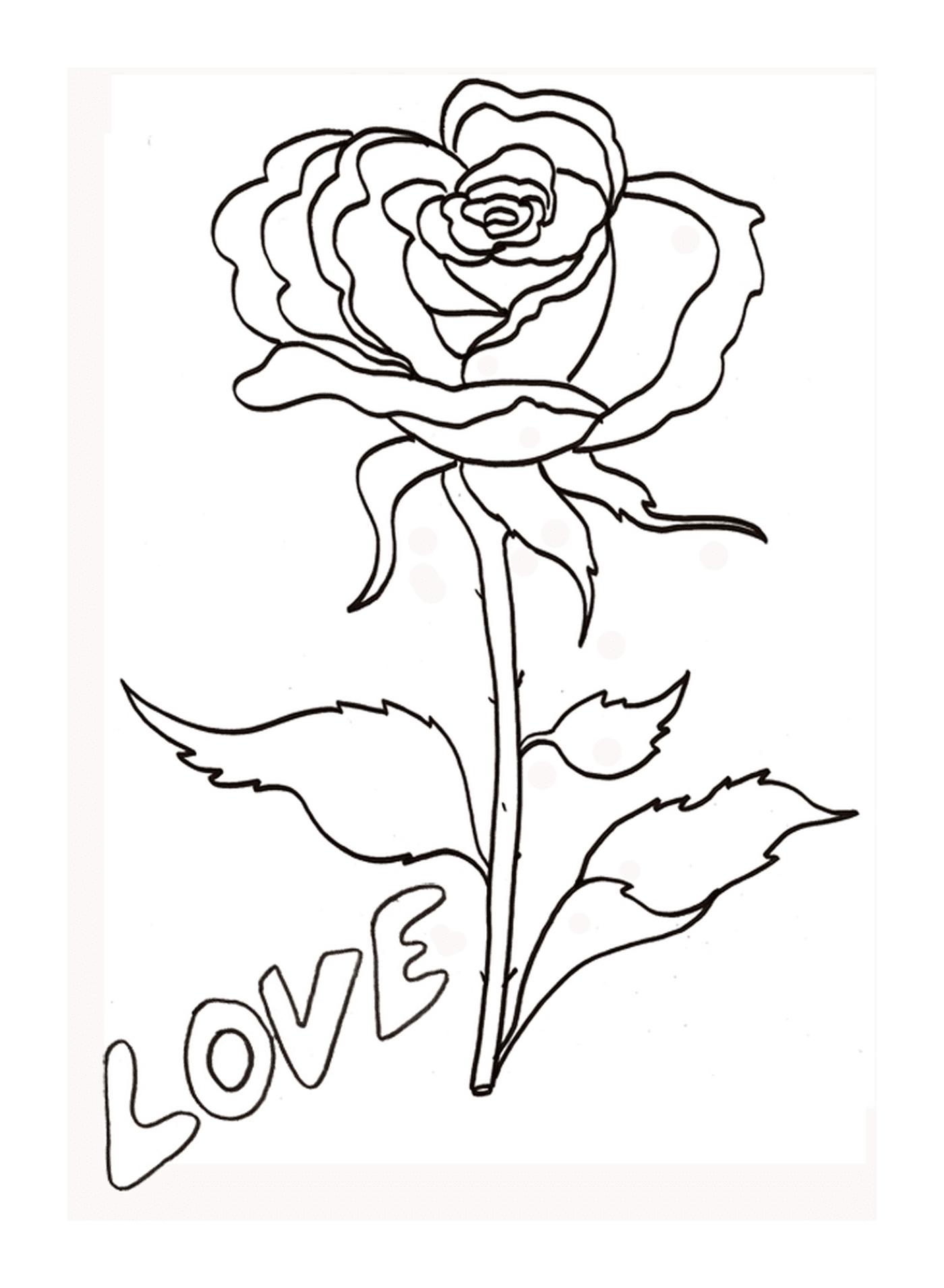   Rose avec Amour inscrit 