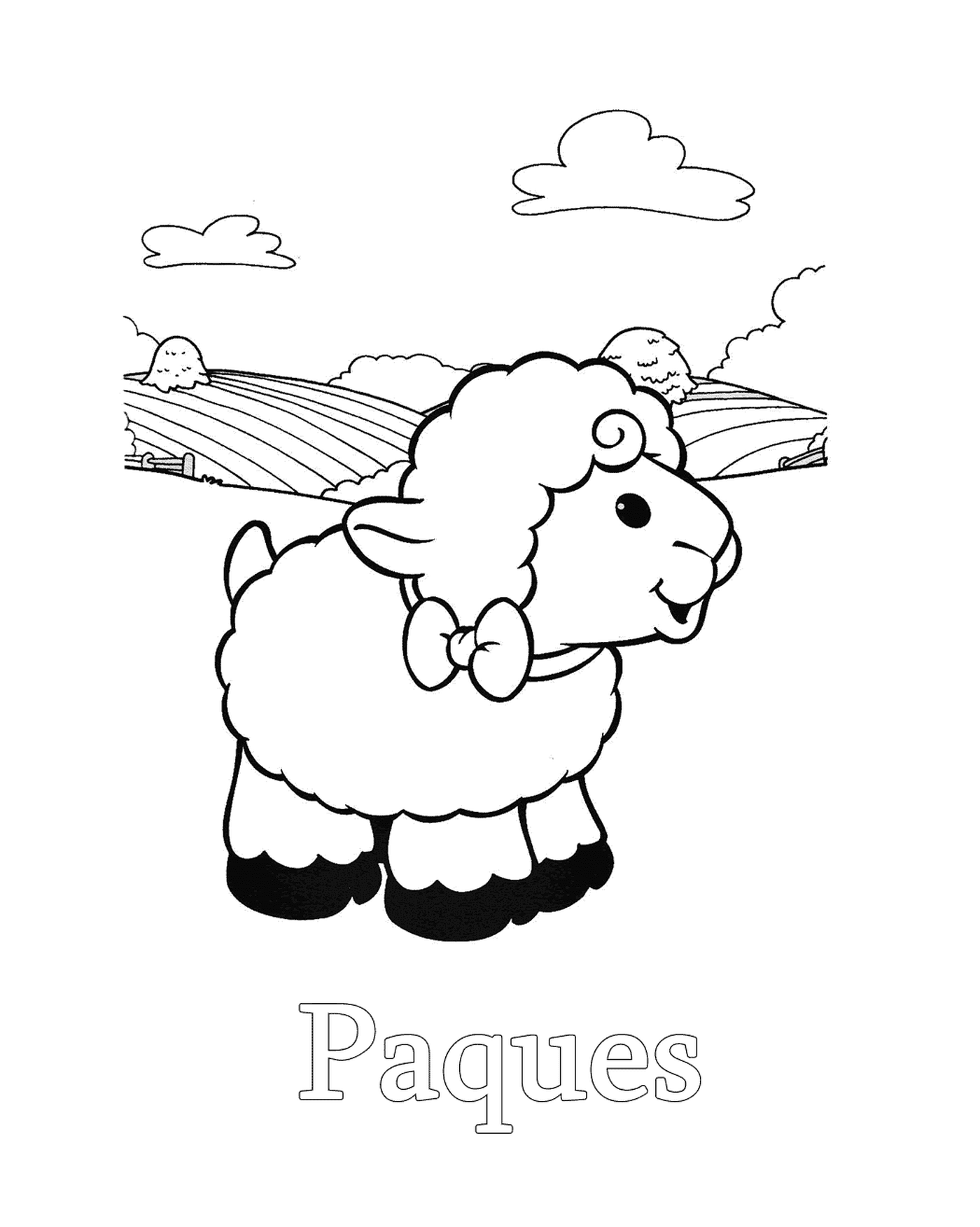  mouton devant un champ 