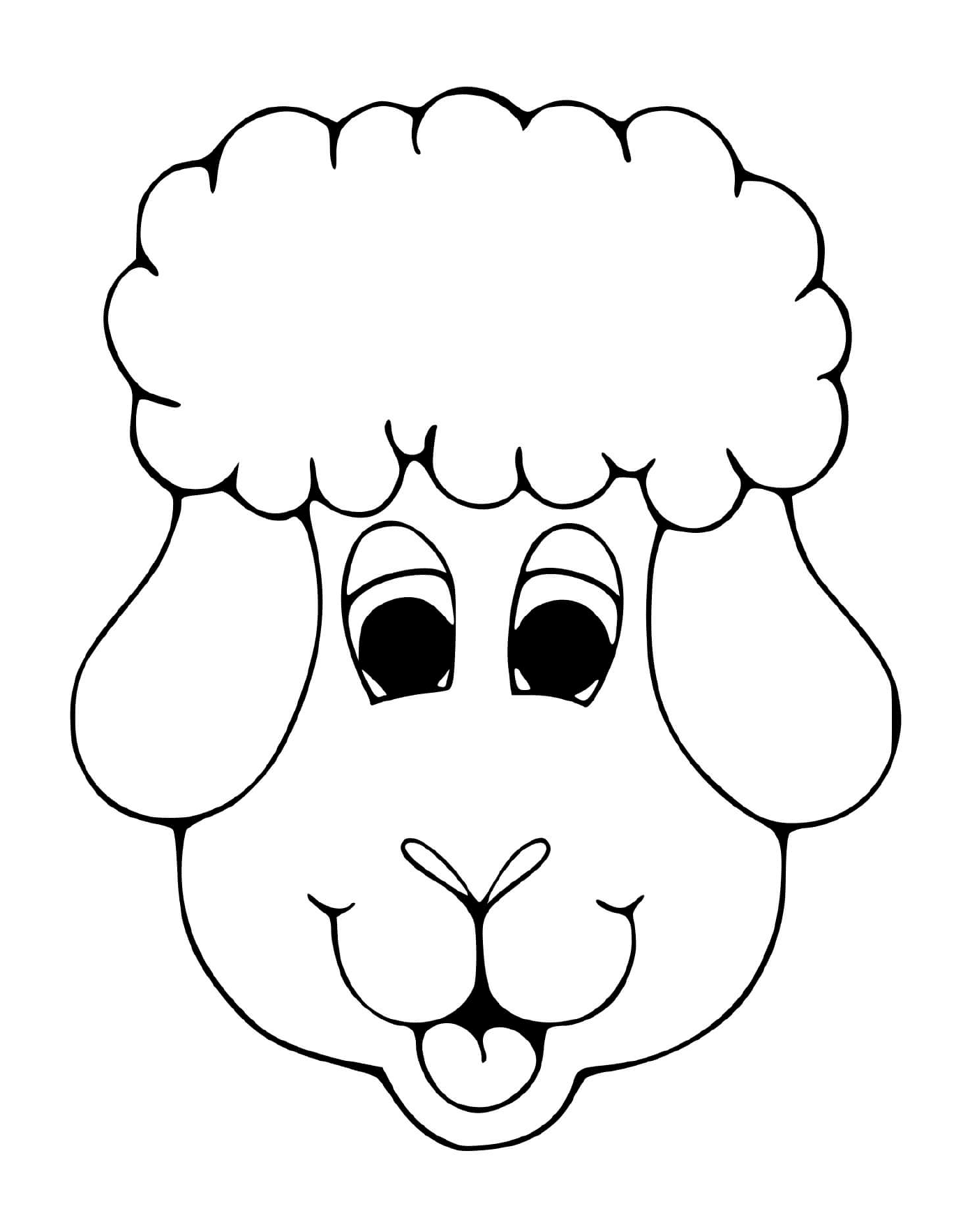   Doux regard de mouton 
