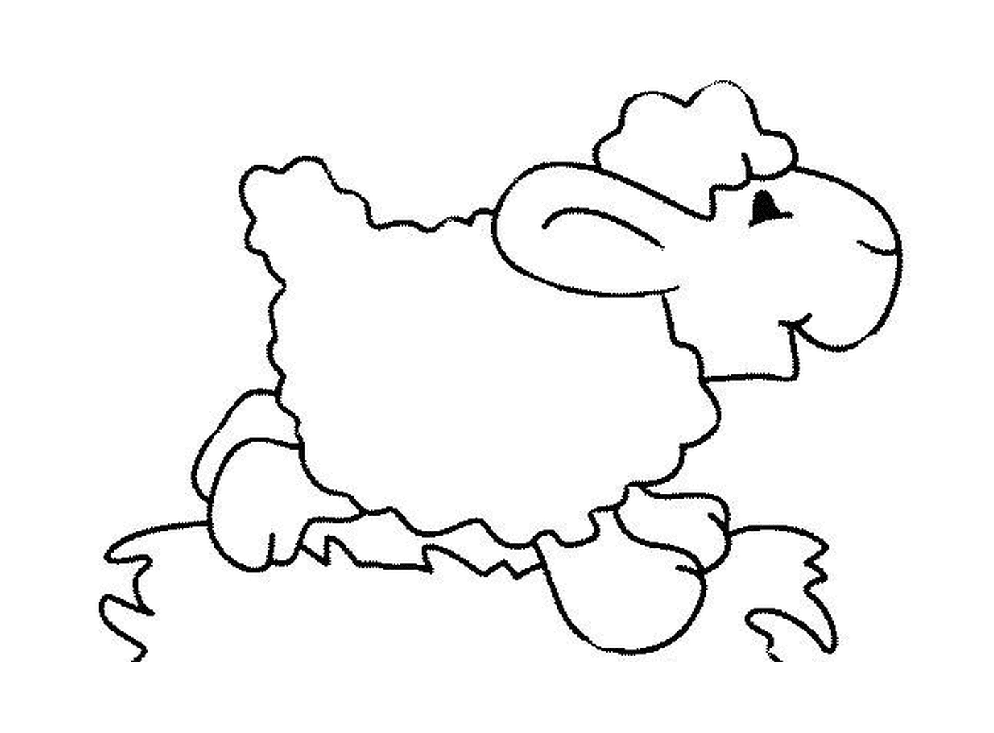   Mouton court dans prairie 