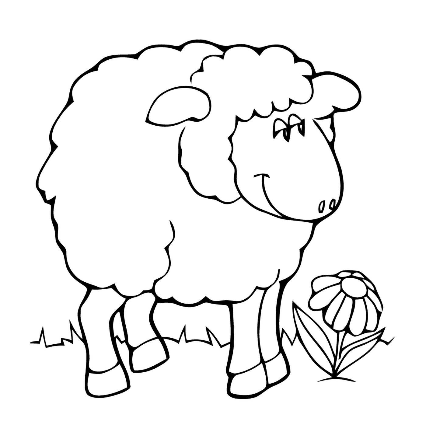   Mouton maternelle repose facilement 