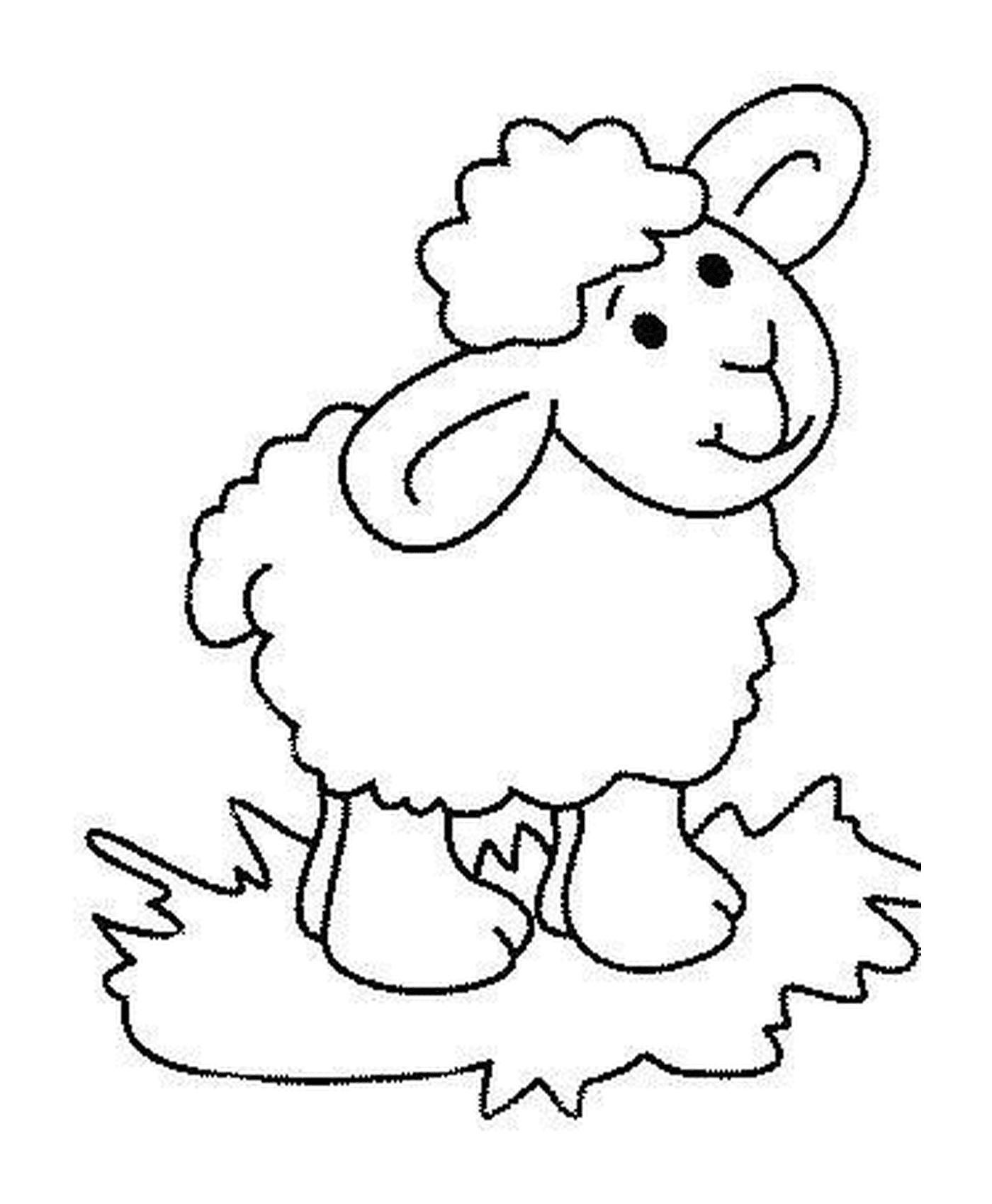  Mouton pour les enfants 