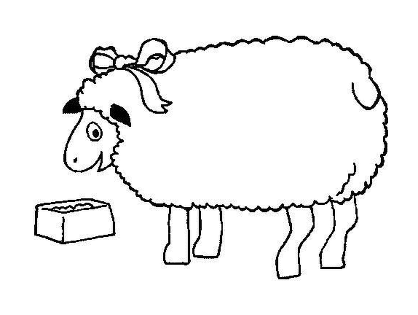   Mouton mange près boîte 