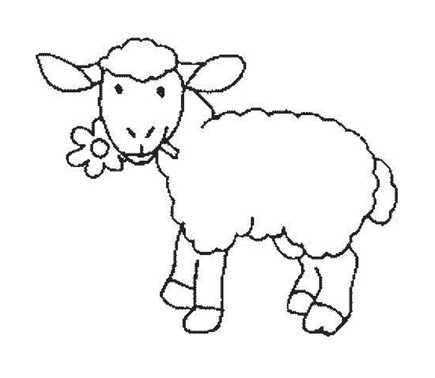   Mouton mange fleur gracieusement 