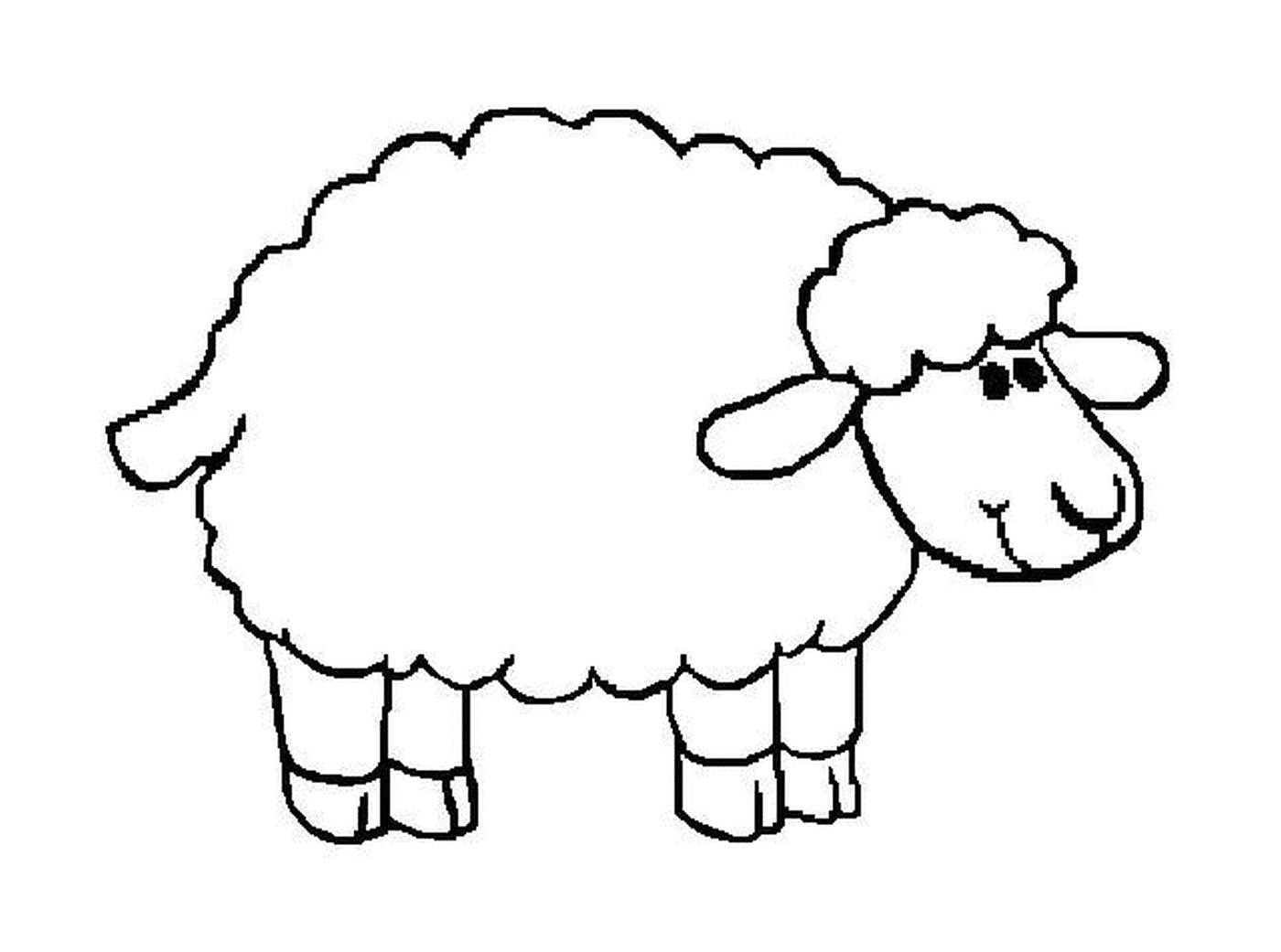   Mouton typique de ferme 