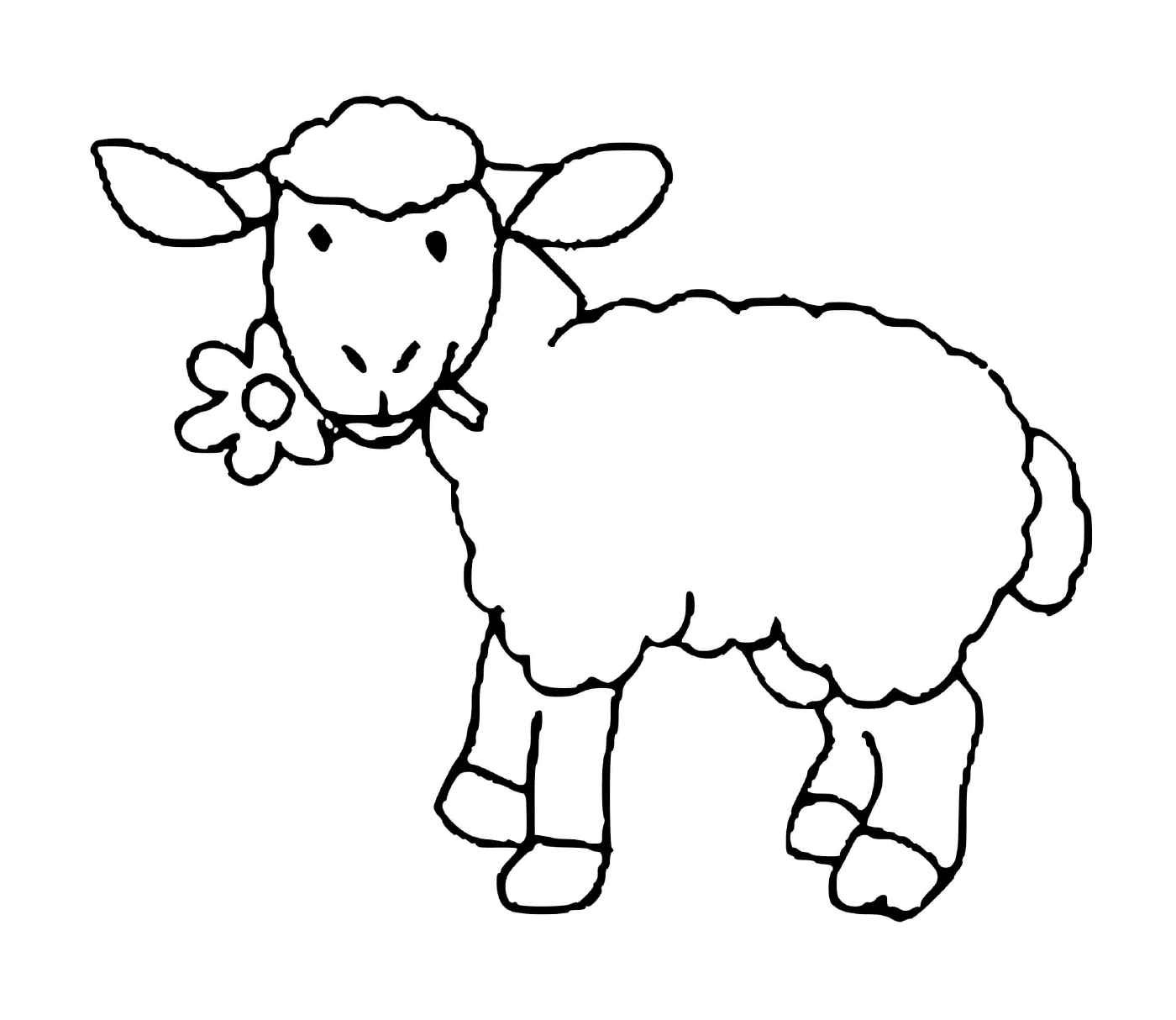   Mouton mange délicatement fleur 