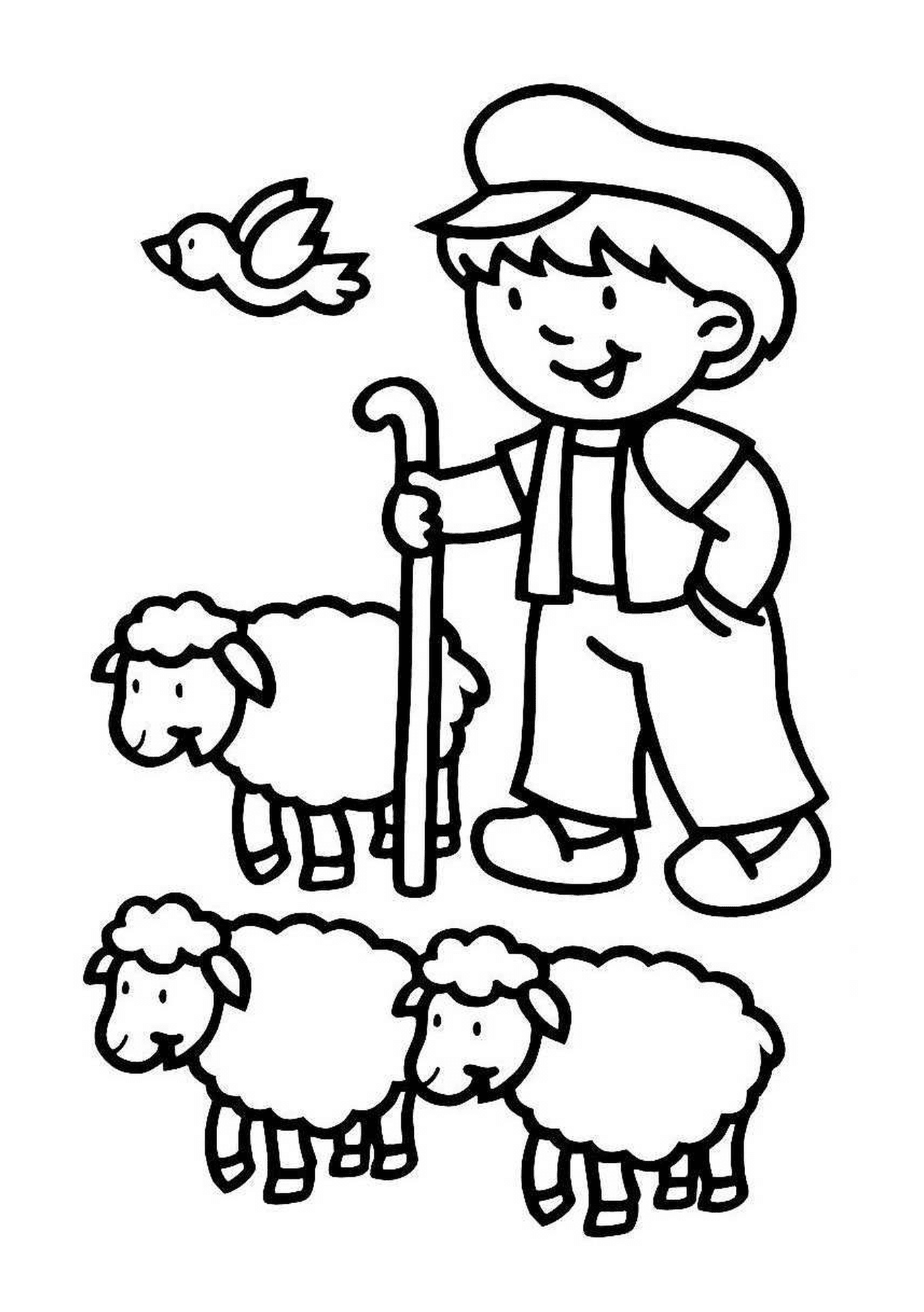   Fermier entouré nombreux moutons 