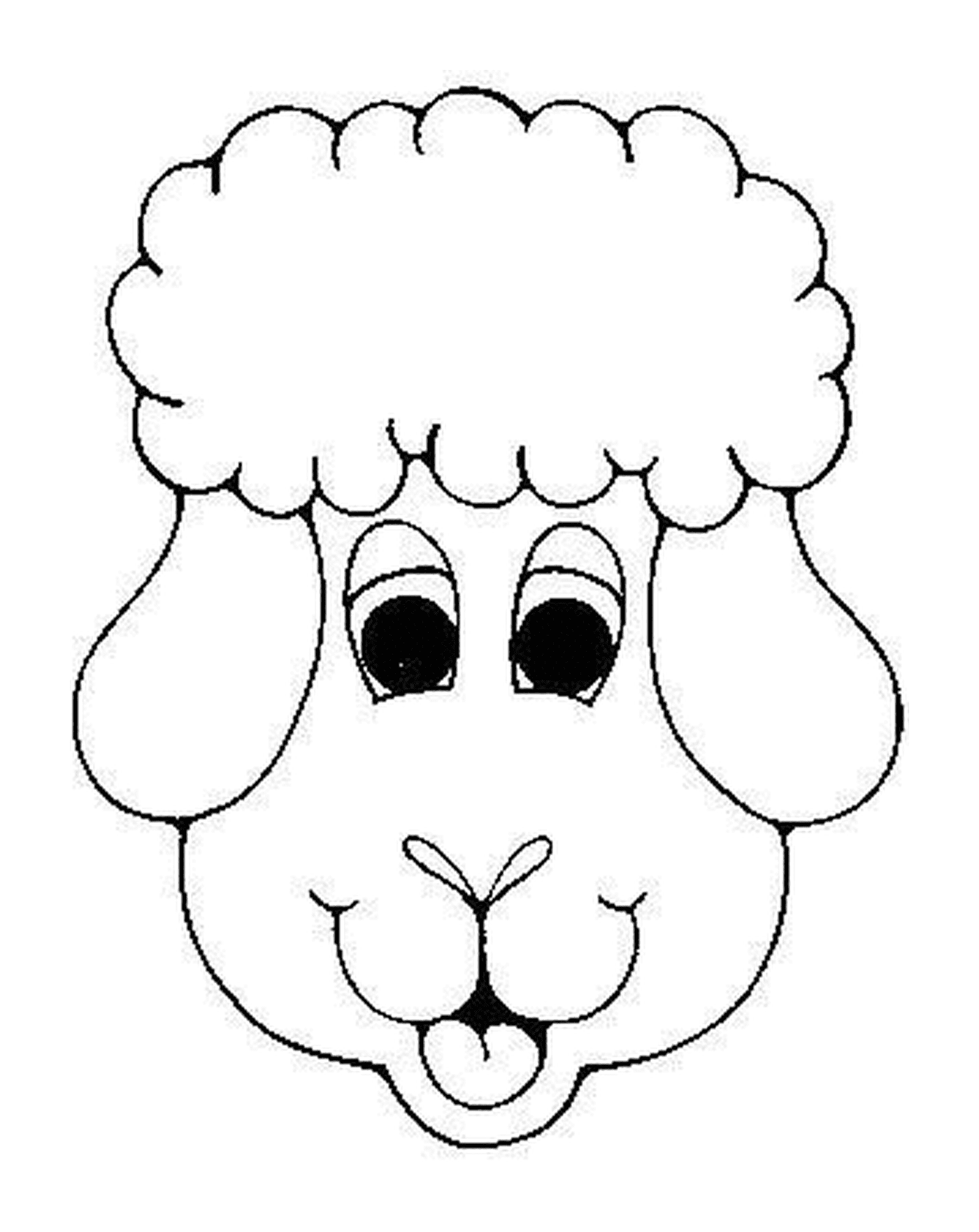   Joli visage de mouton 