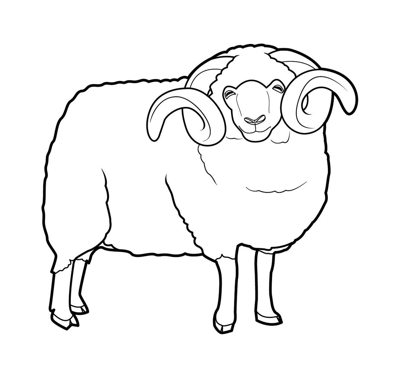   Mouton imposant avec cornes 