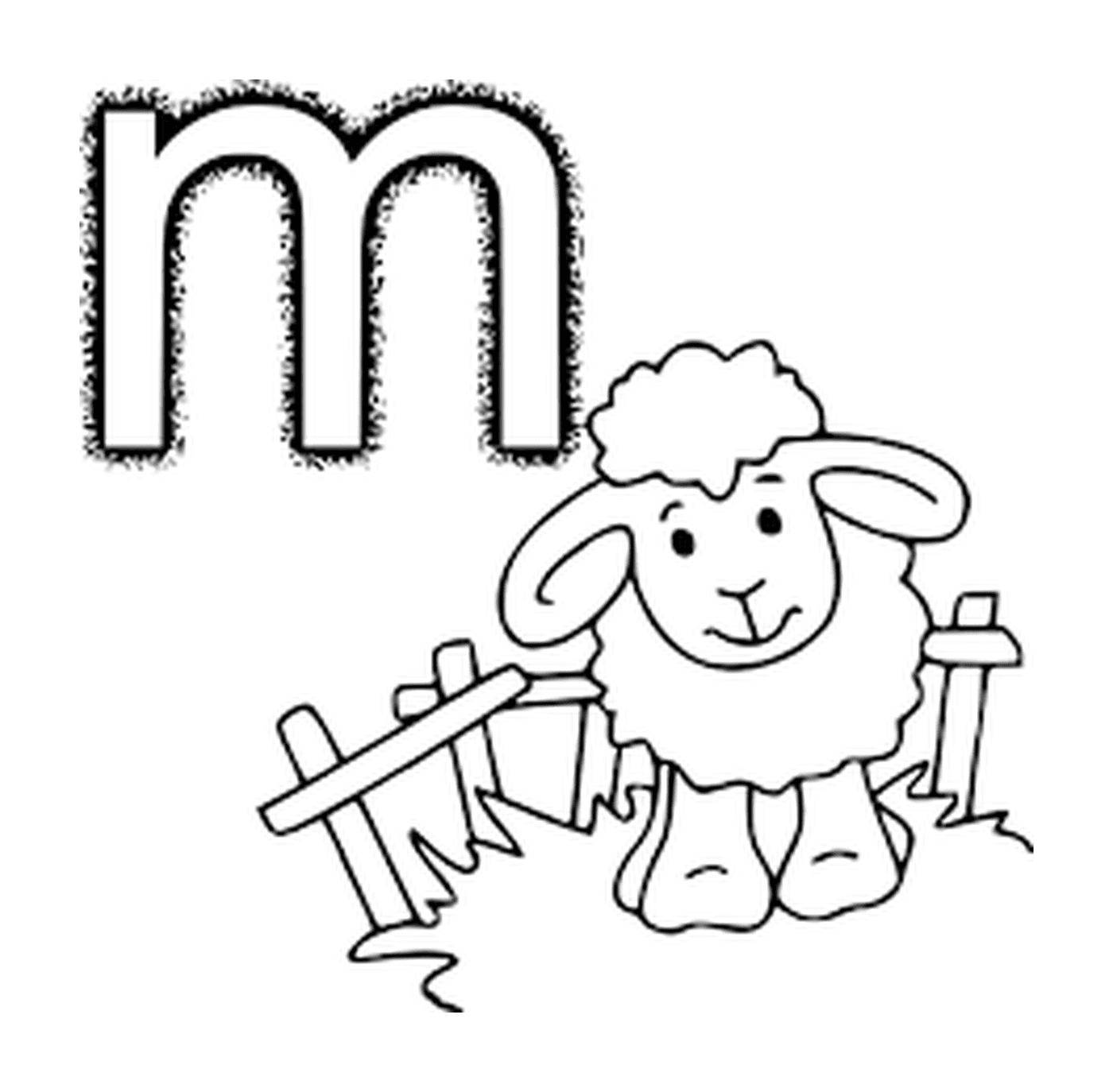   Mouton devant clôture, lettre M 