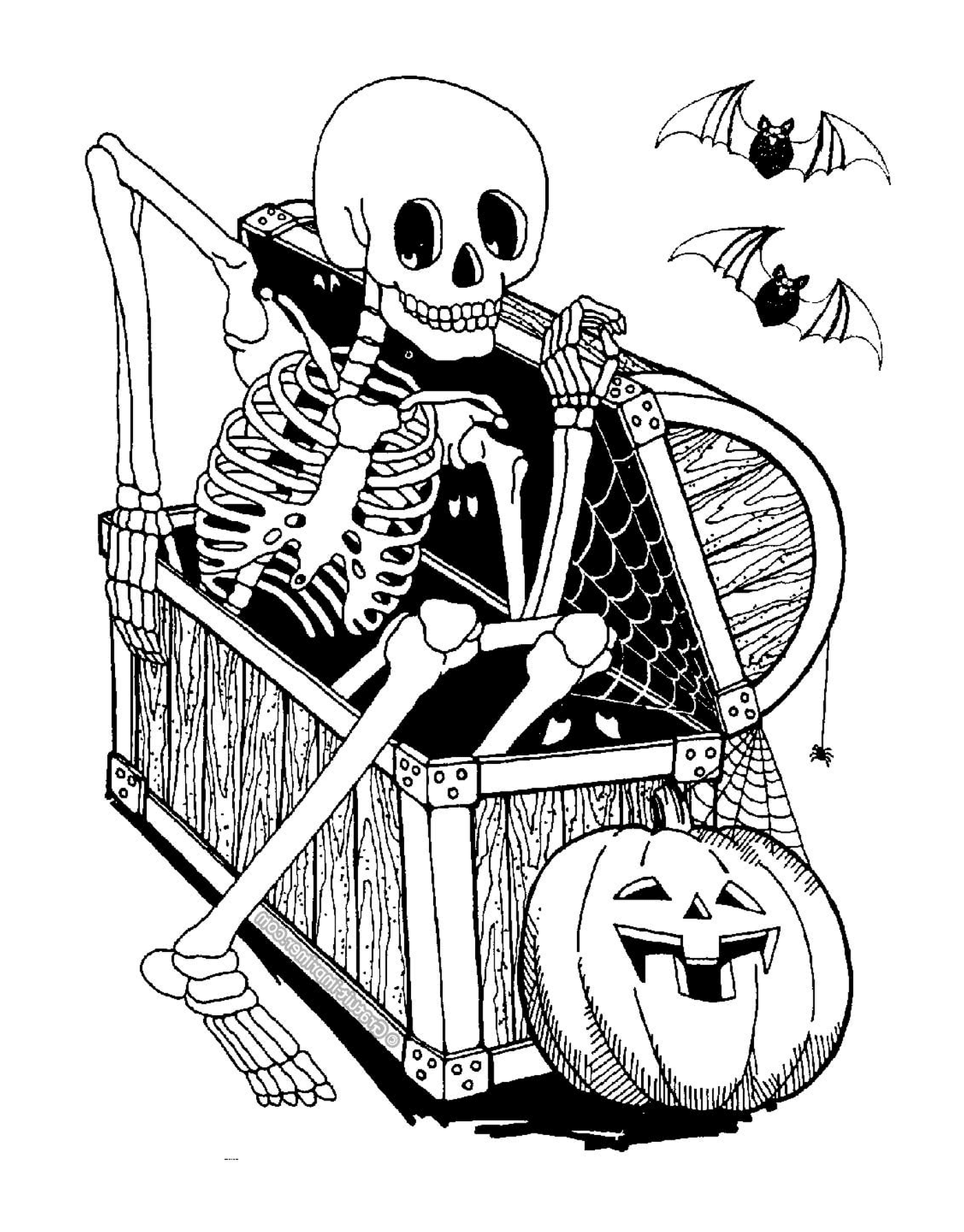   Halloween adulte, squelette, assis dans une chaise 