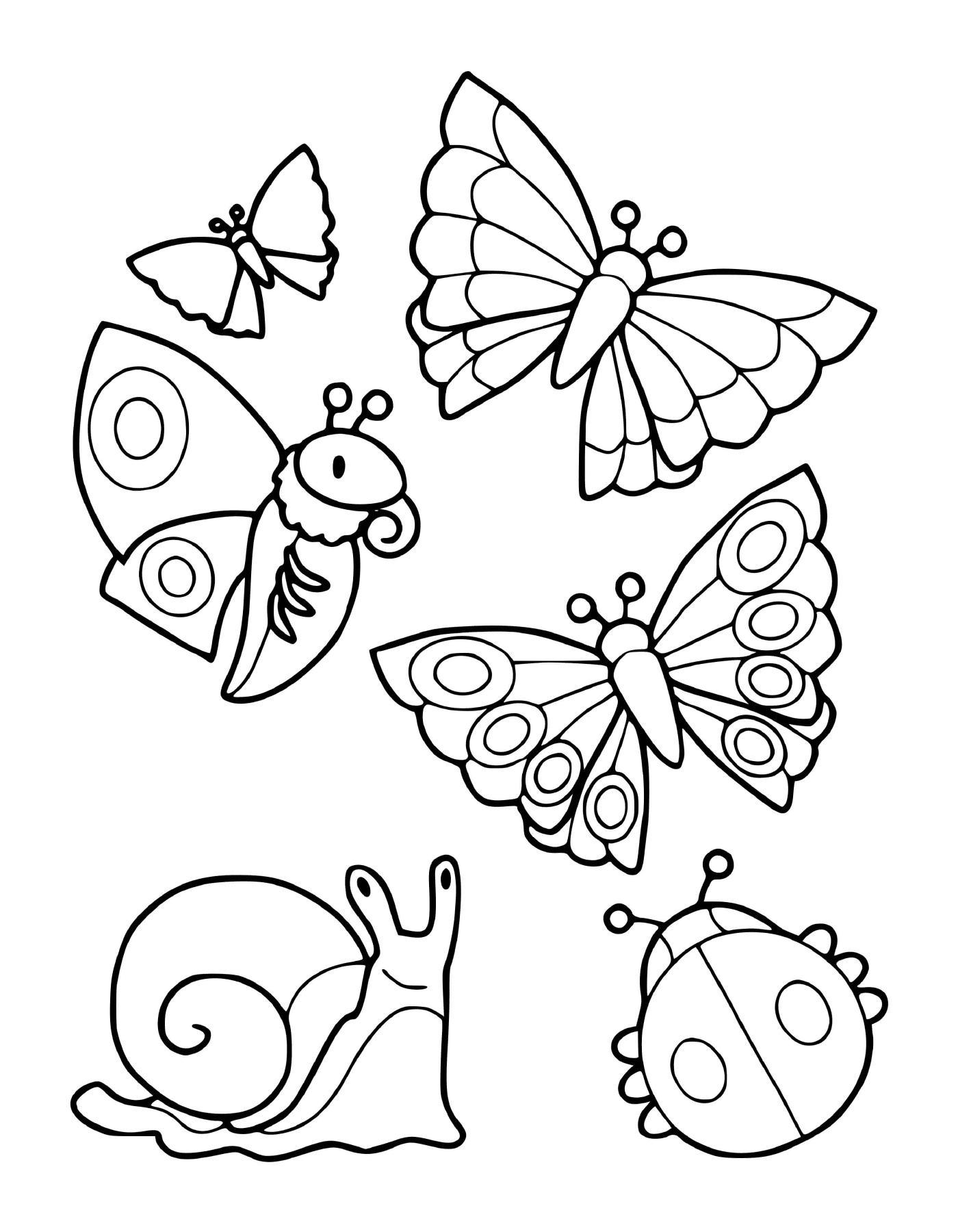   Collection d'insectes comprenant des papillons et un escargot 
