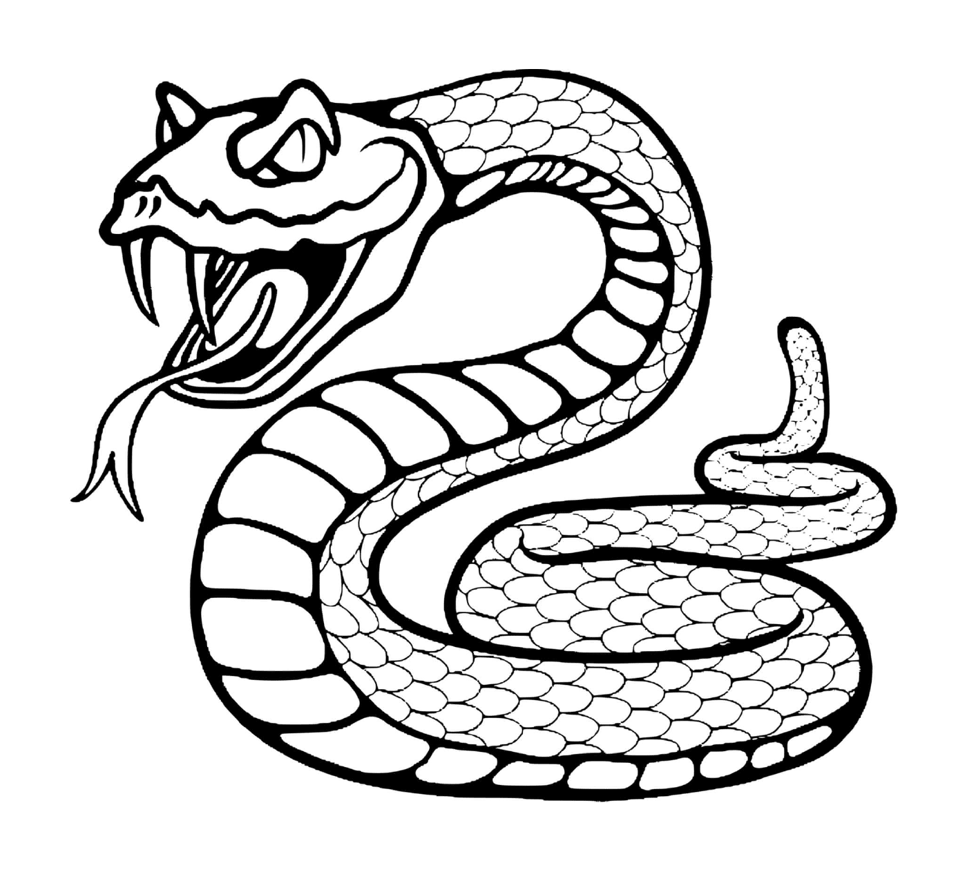   Serpent à sonnette 
