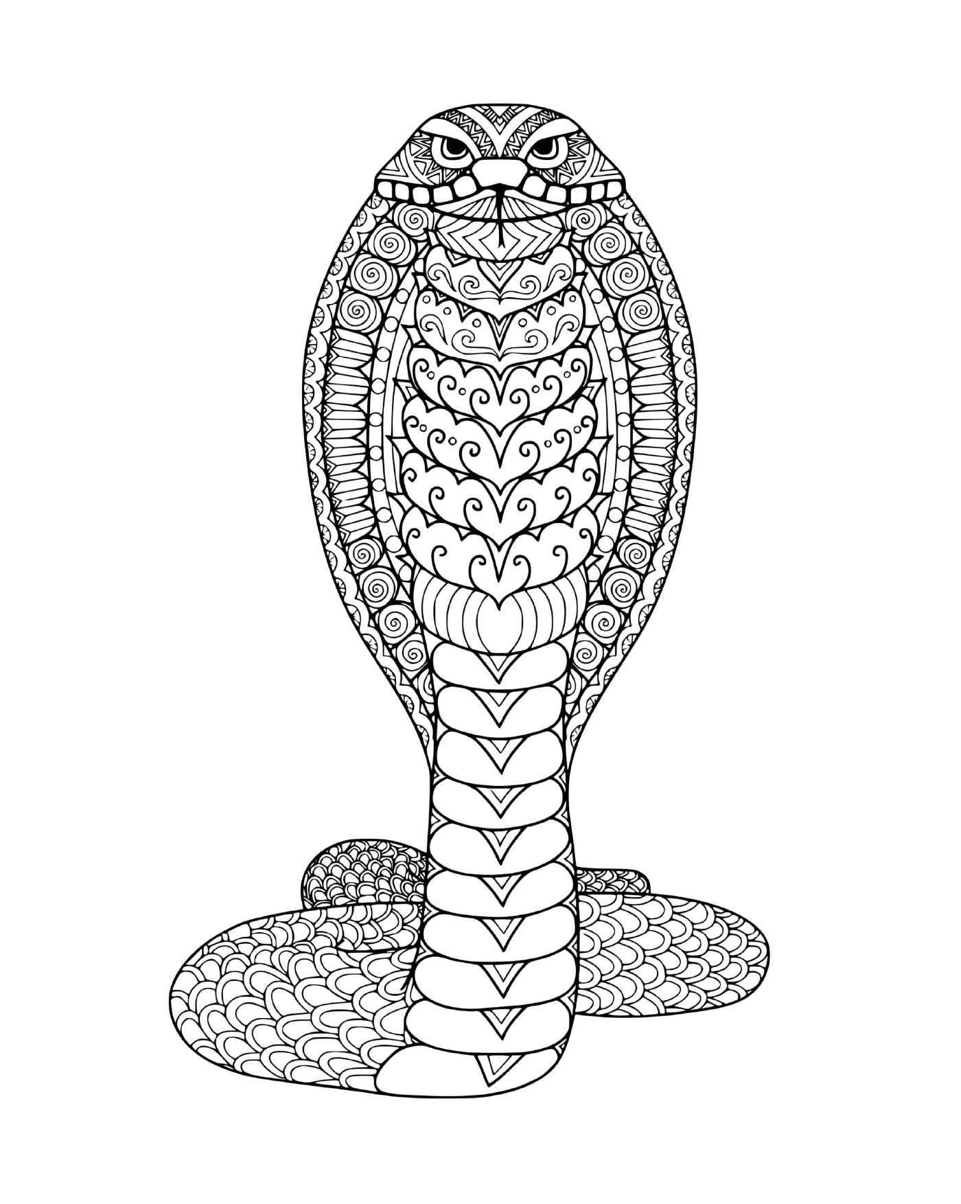   Serpent mandala adulte 