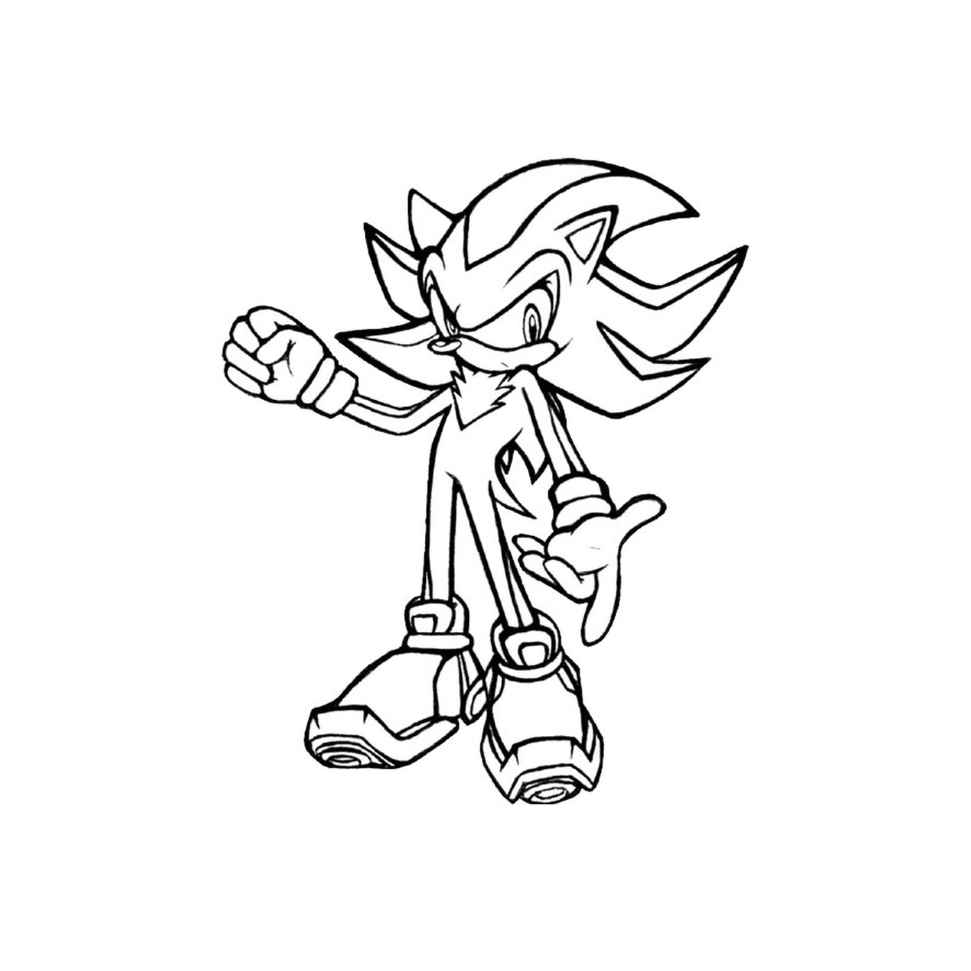   Sonic et Shadow ensemble 