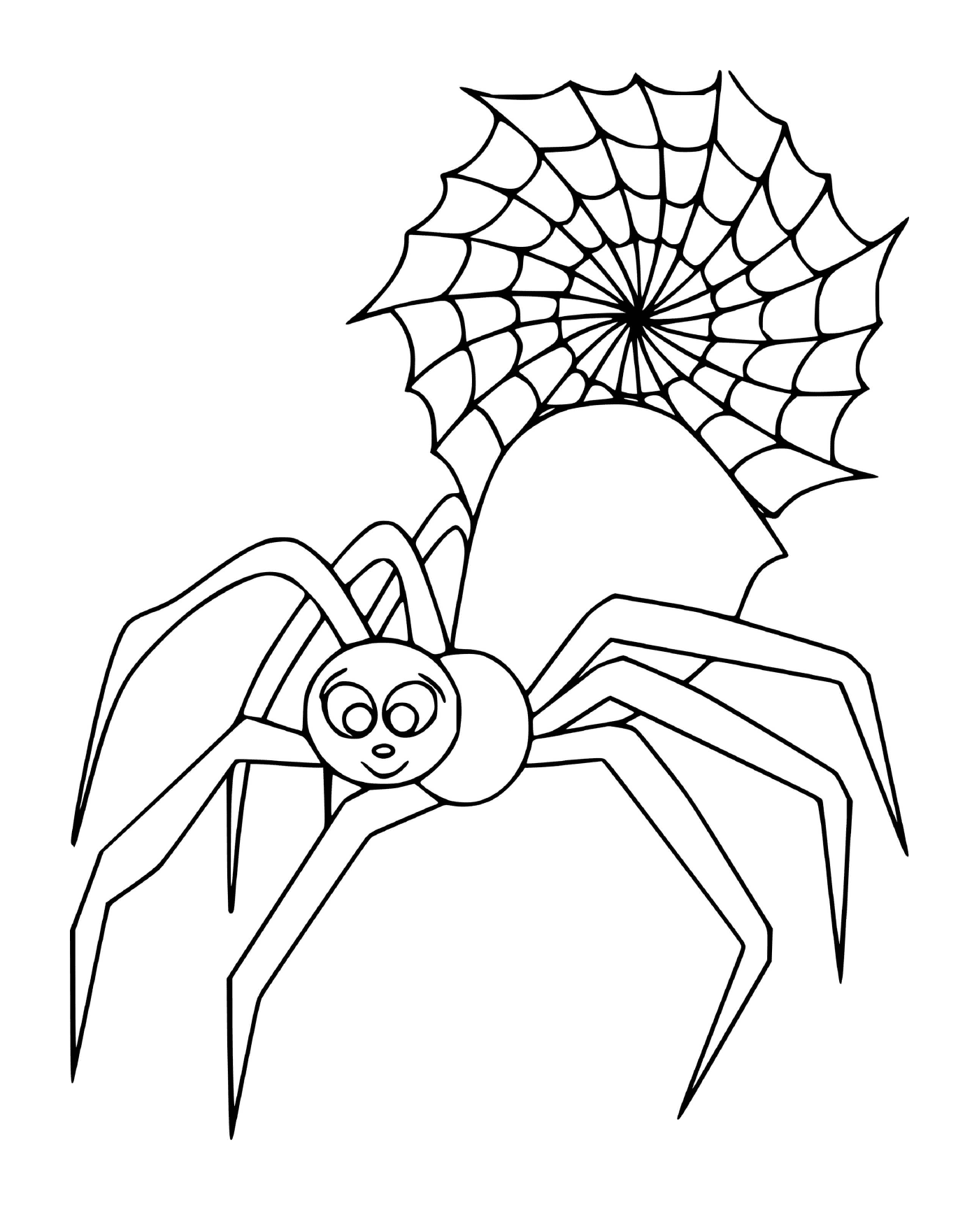   Une araignée géante et mignonne 