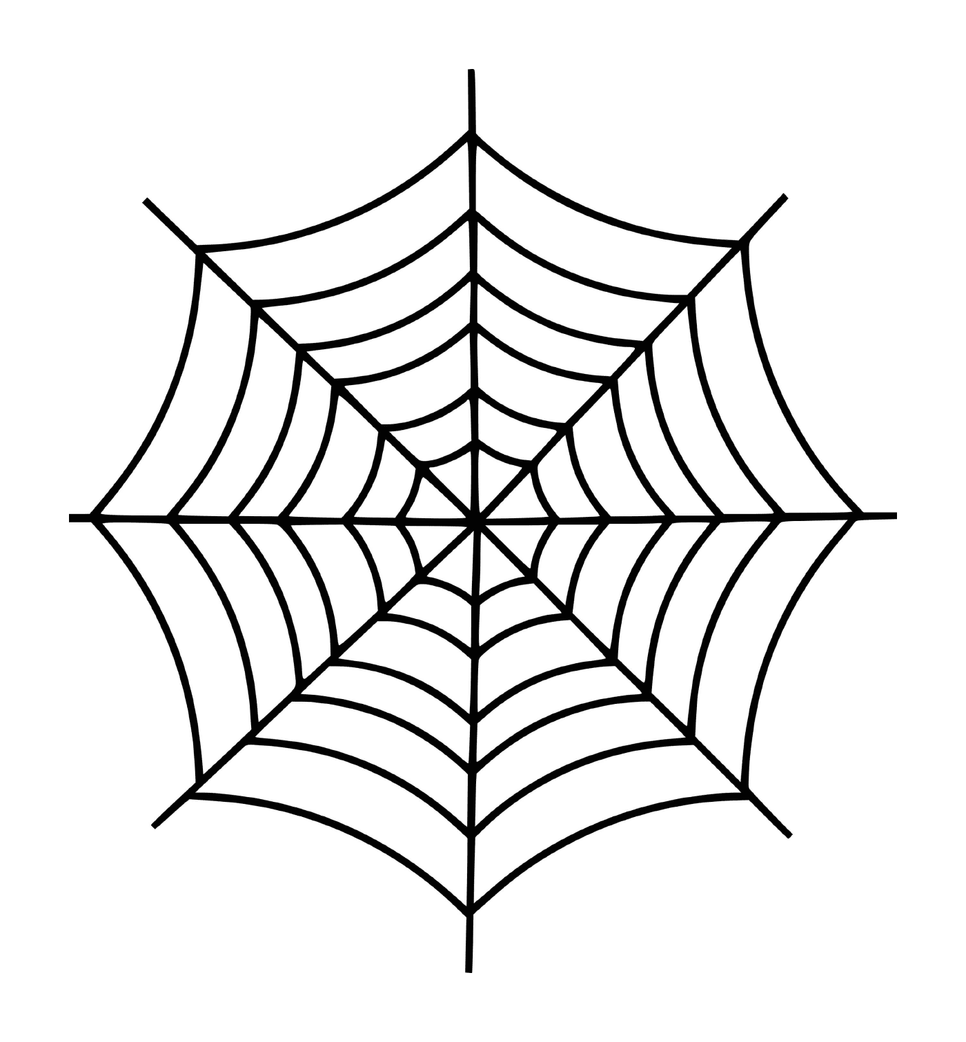   Une toile d'araignée simple 