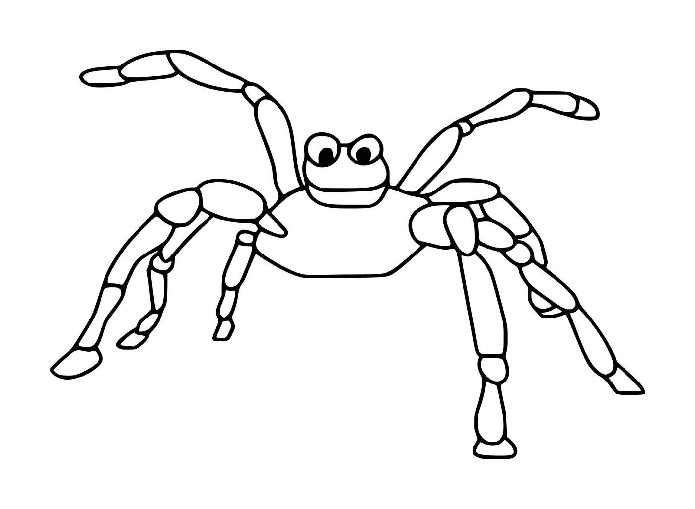   Une araignée effrayante 