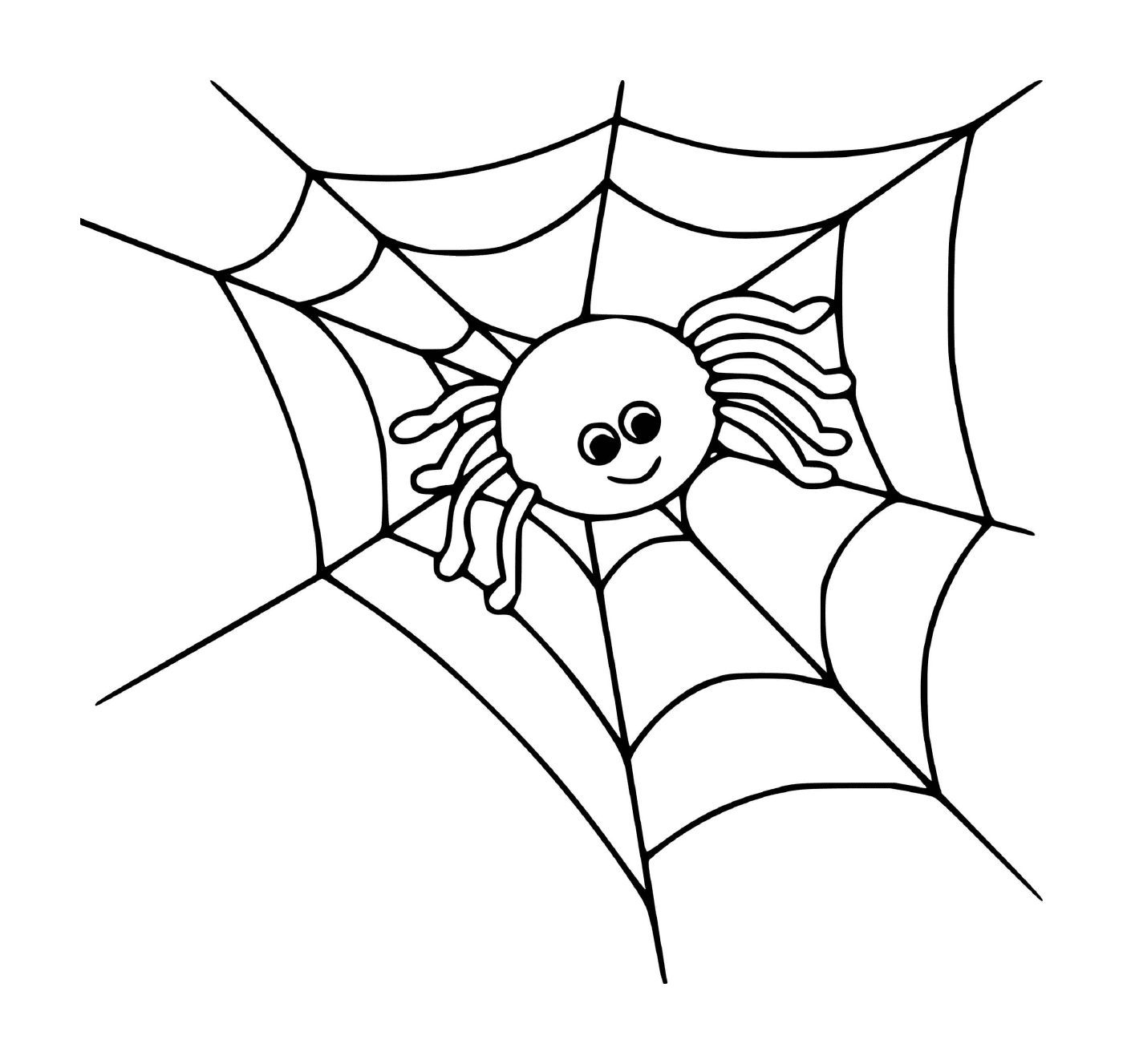   Une araignée mignonne sur une toile 