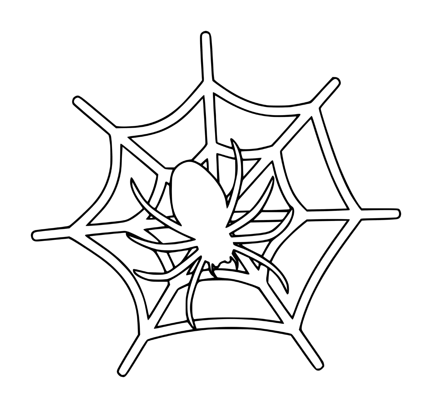   Une araignée sur une toile 