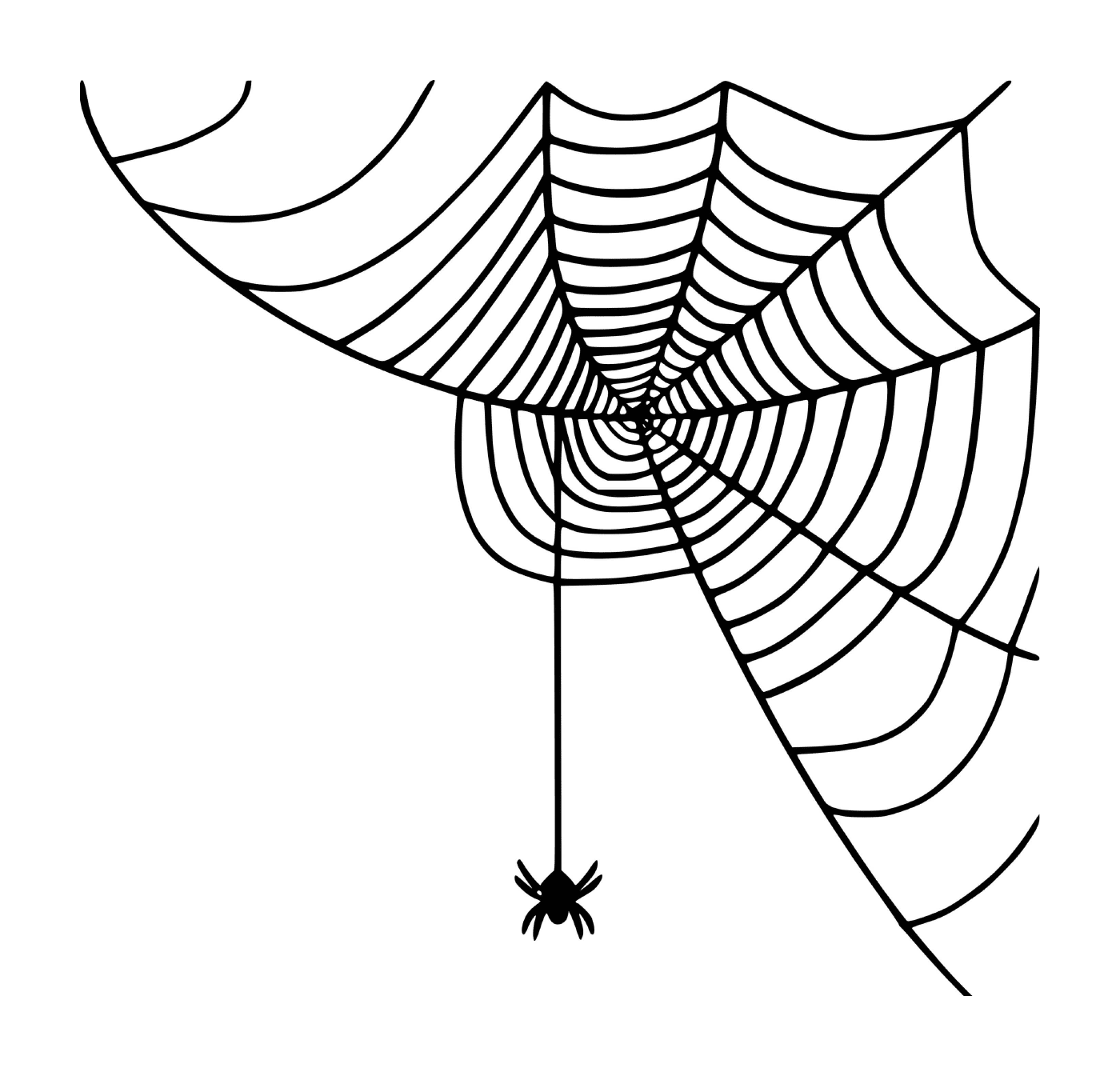   Une petite toile d'araignée tissée par une araignée 