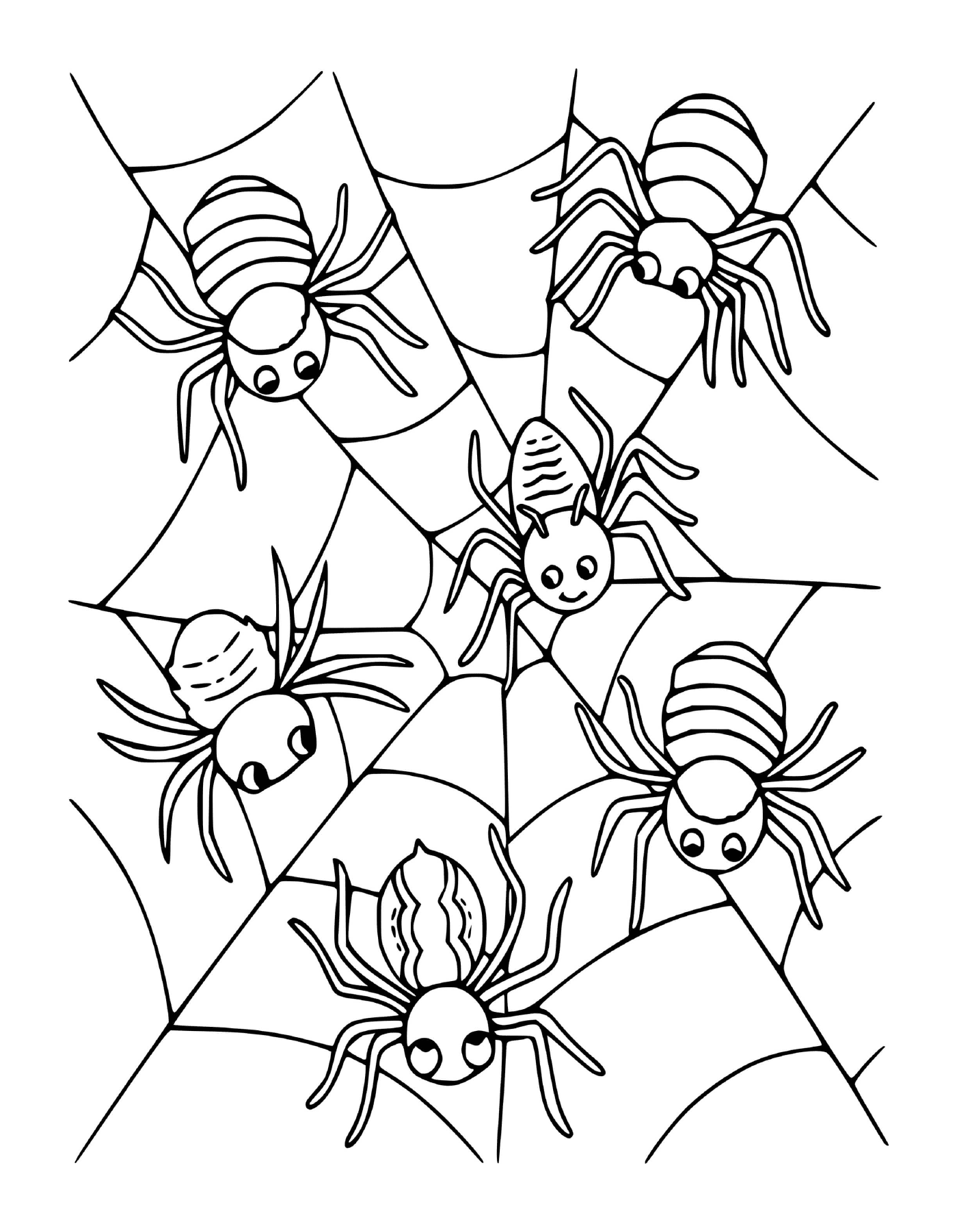   Un groupe de quatre araignées assises sur une toile 