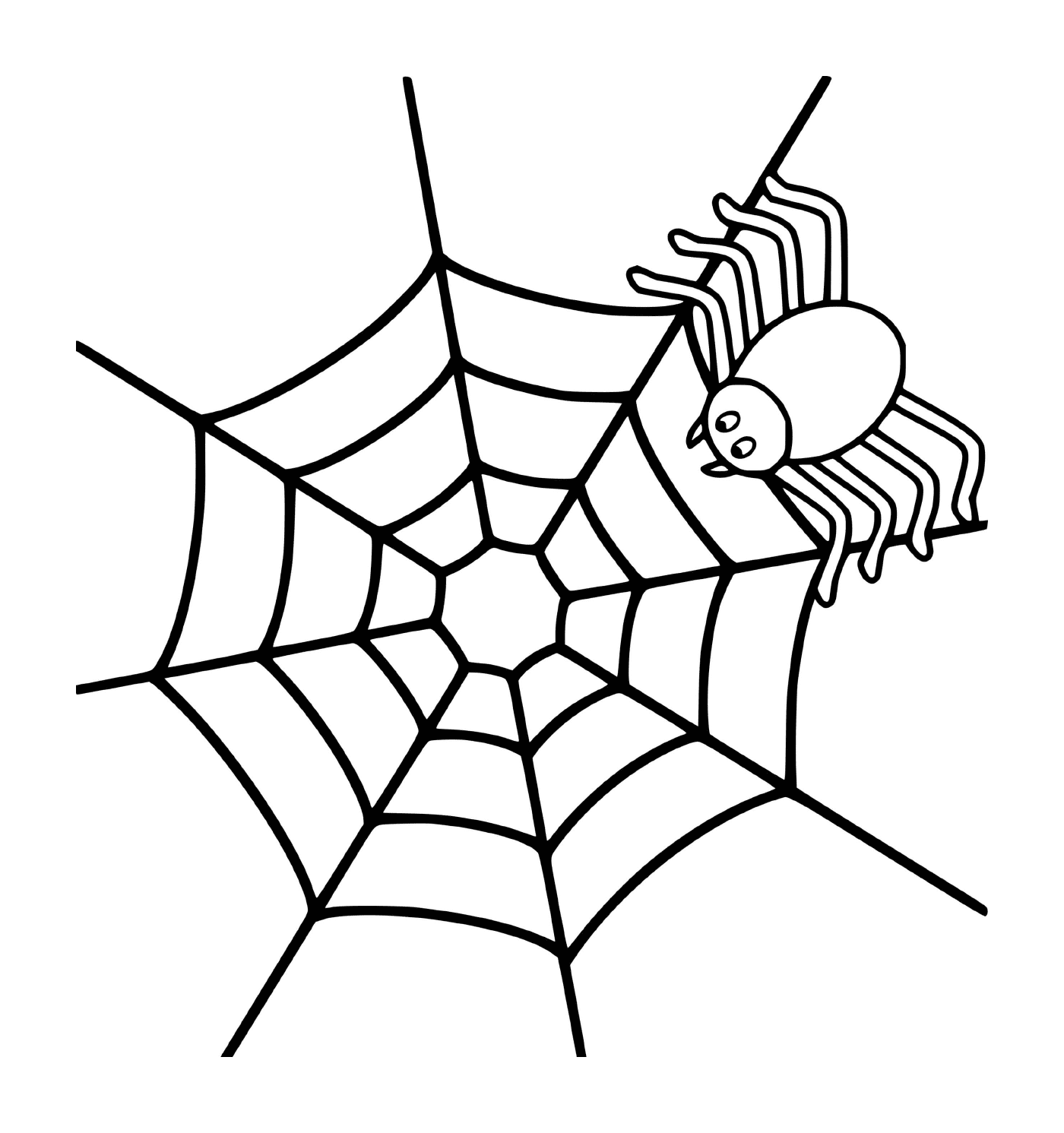   Une araignée simple sur une toile 