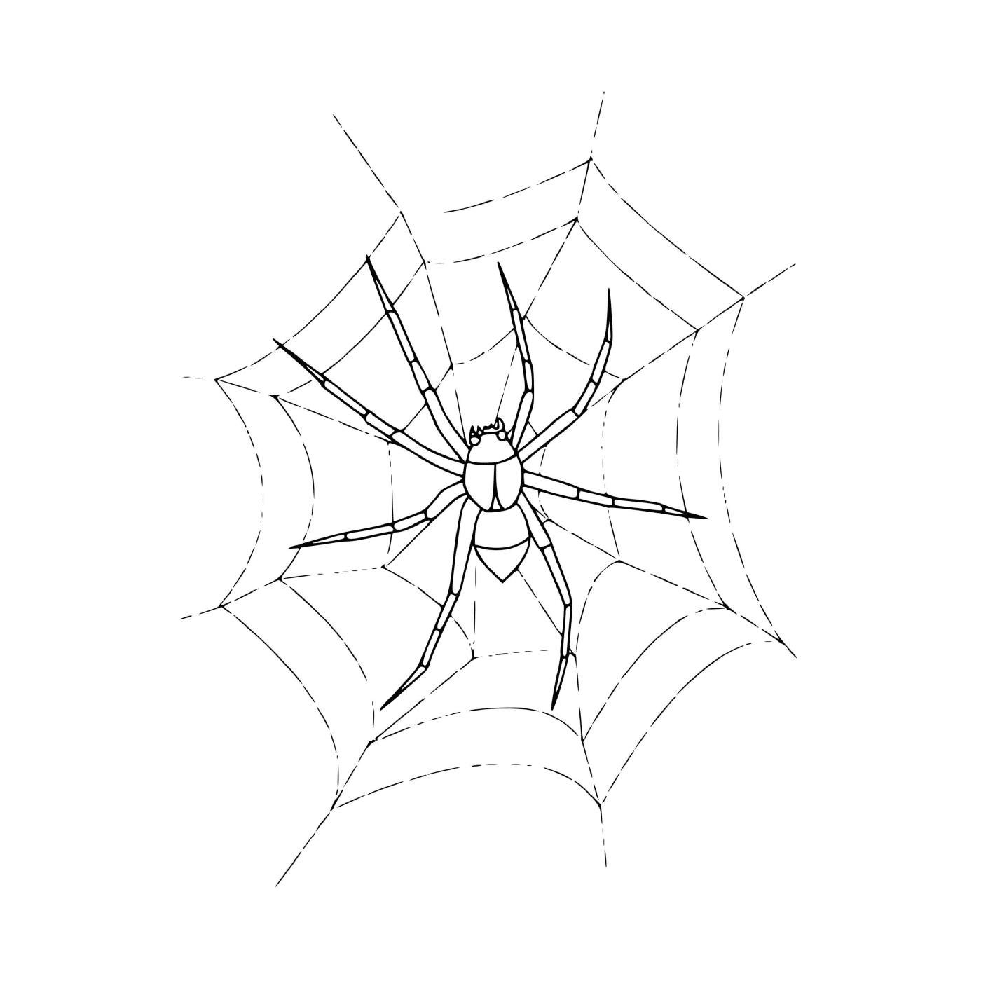   Une araignée assise sur une toile 