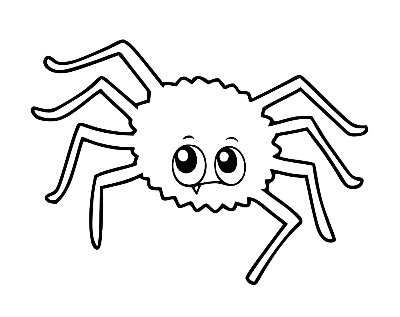   Une araignée 