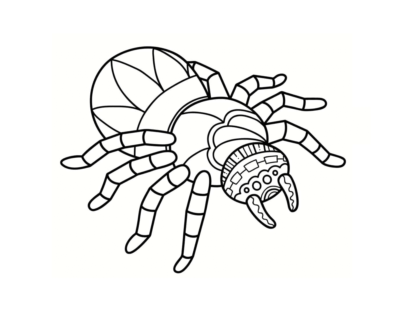   Une araignée 