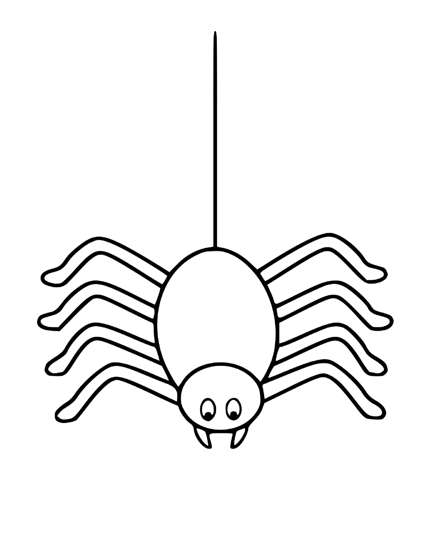   Une araignée qui descend 