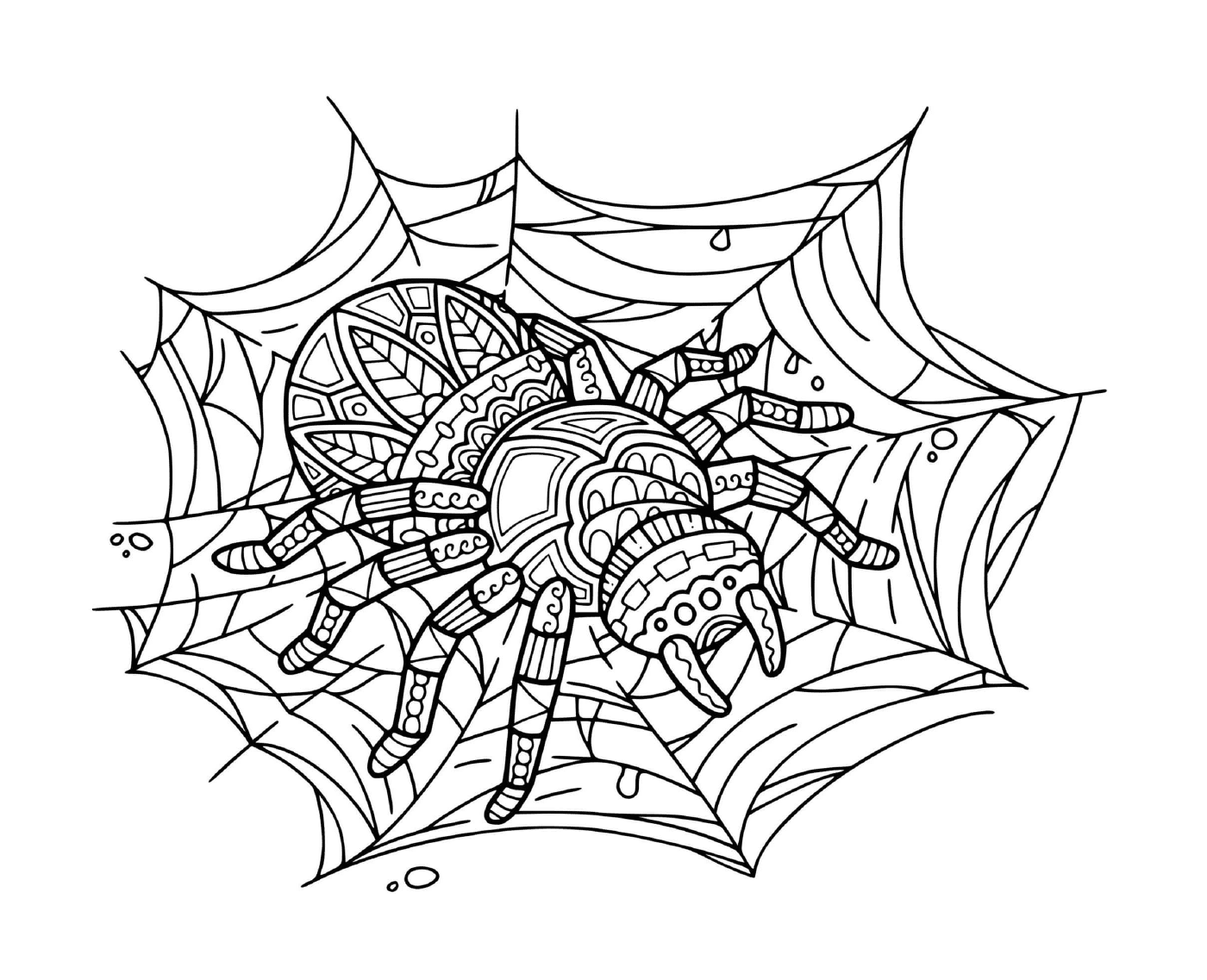   Une araignée assise sur une toile de relaxation mandala 