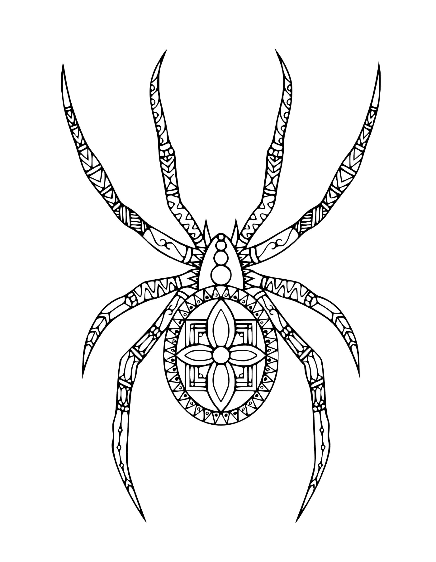  Une araignée dans un style doodle 