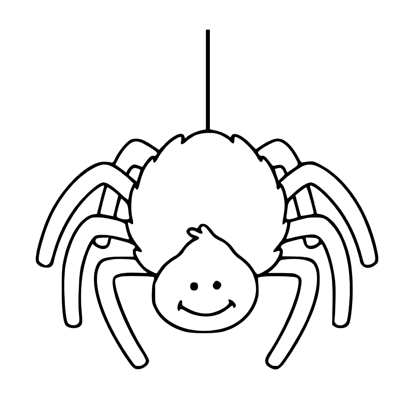   Une araignée facile 