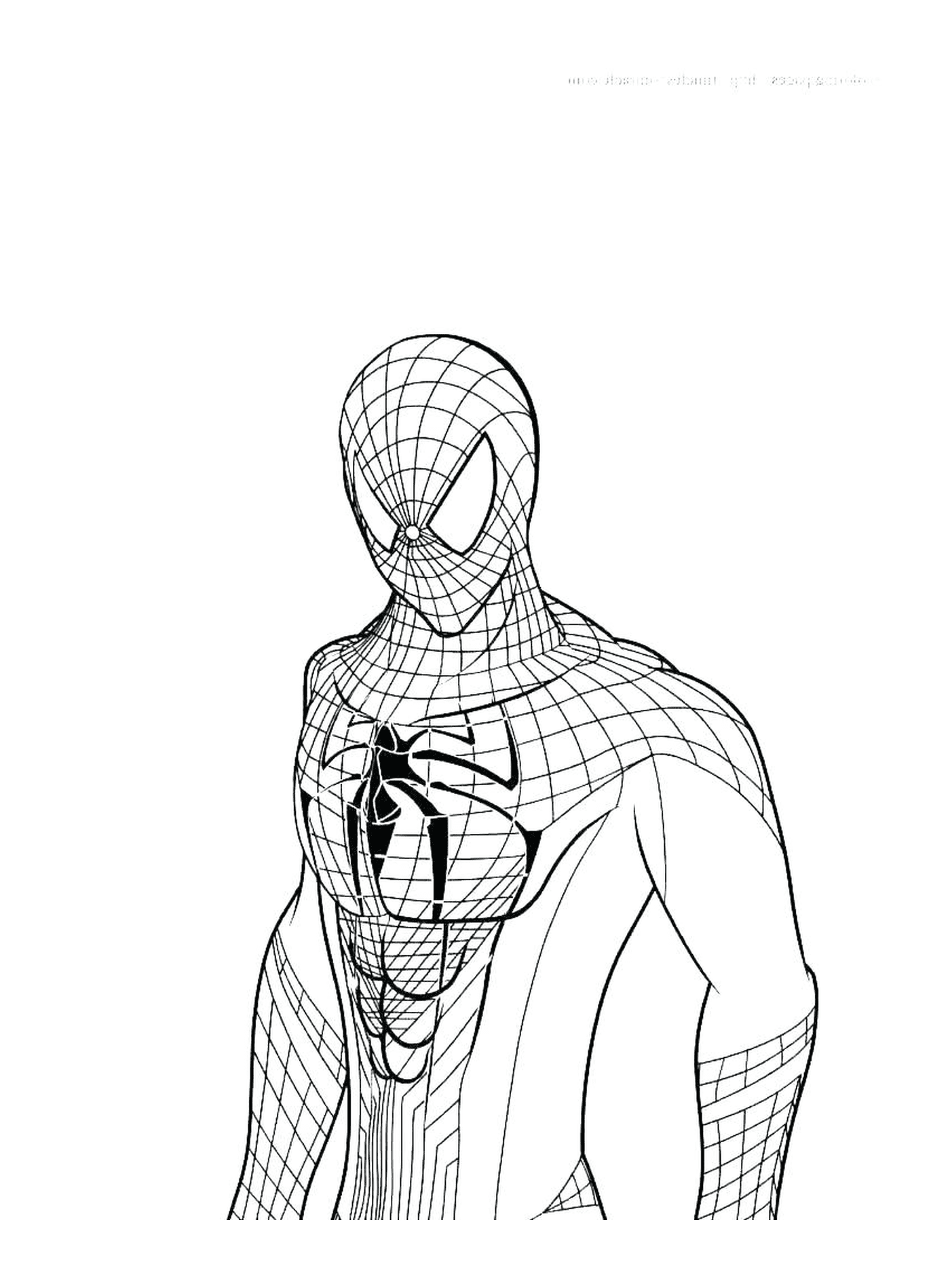   Spider-Man debout devant un fond blanc 