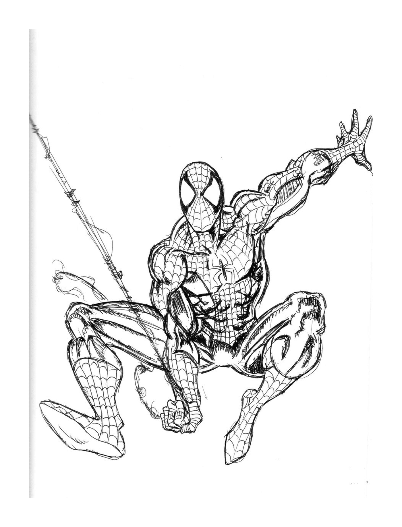   Spiderman avec une canne à pêche 