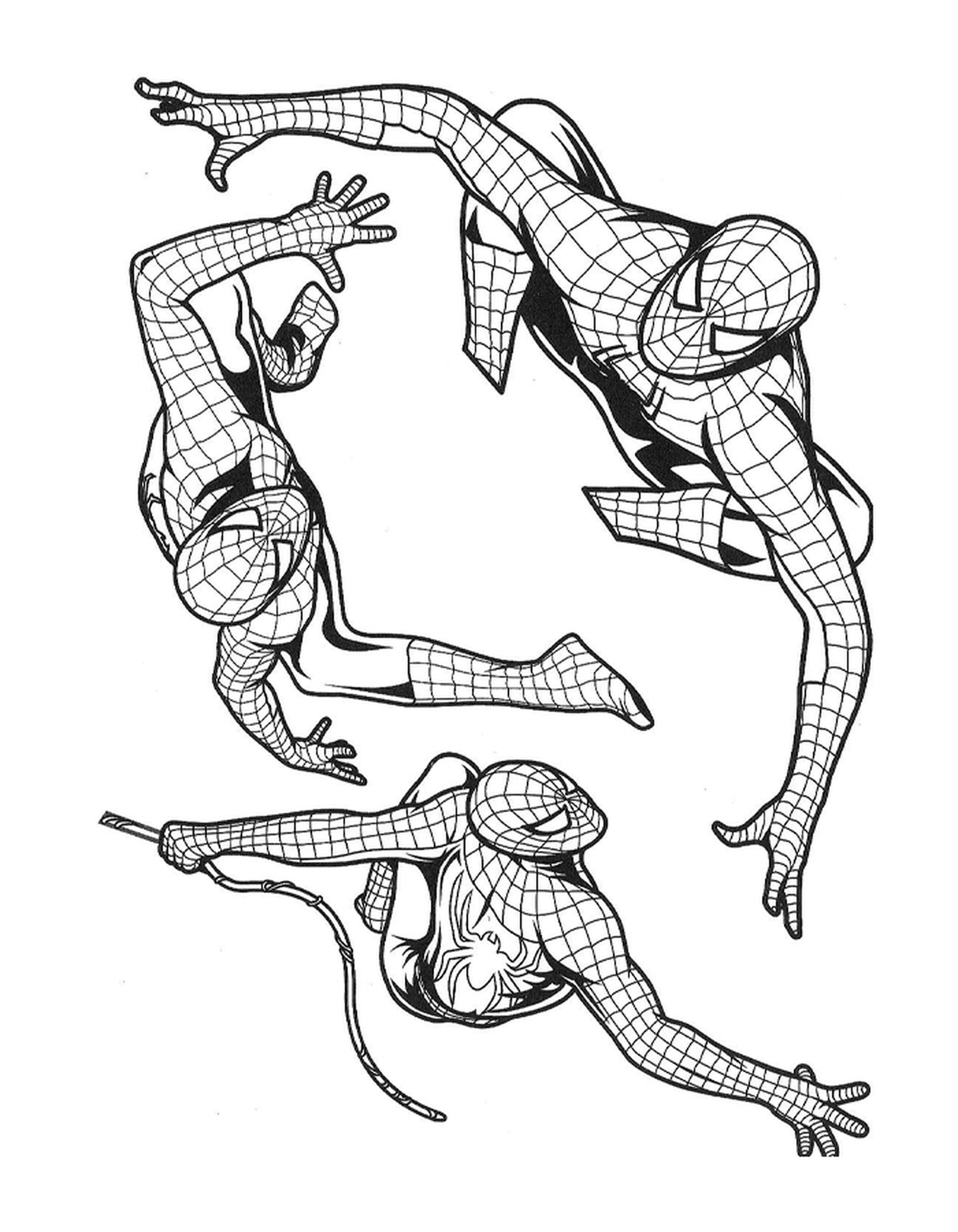   Ensemble de trois dessins en noir et blanc de Spiderman 