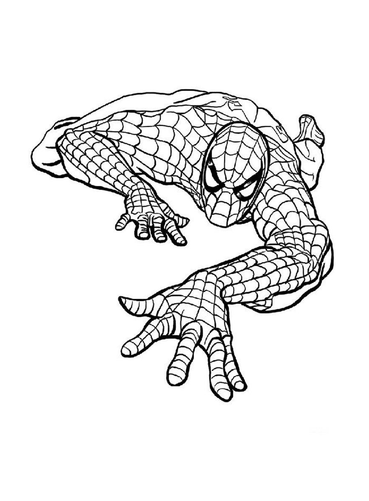   Spiderman représenté en dessin 