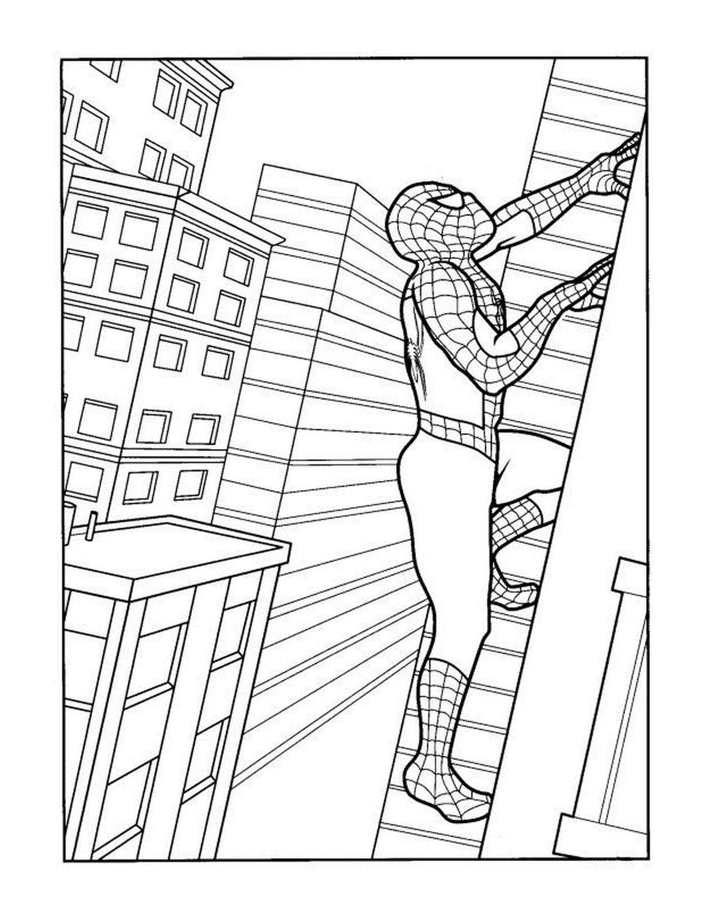   Spiderman escaladant un mur d'immeuble 